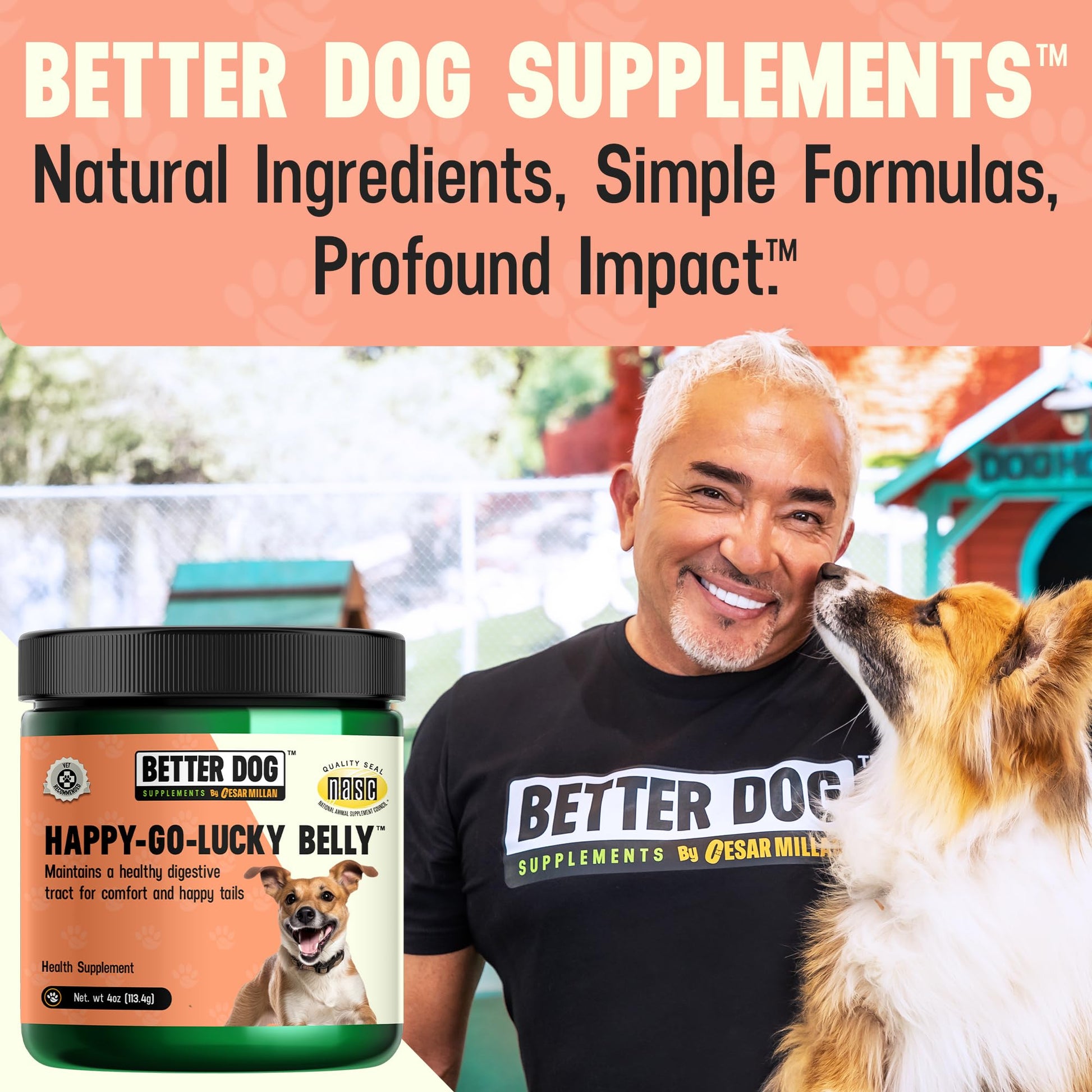Better Dog Supplements Happy-Go-Lucky Belly by Cesar Millan - Natural Dog Digestive Support Powder – Dog Constipation Relief, Gut Balance & Regularity with Herbal Fiber for Dogs – 4oz (60-Day Supply) Better Dog Supplements By Cesar Millan uk supplements