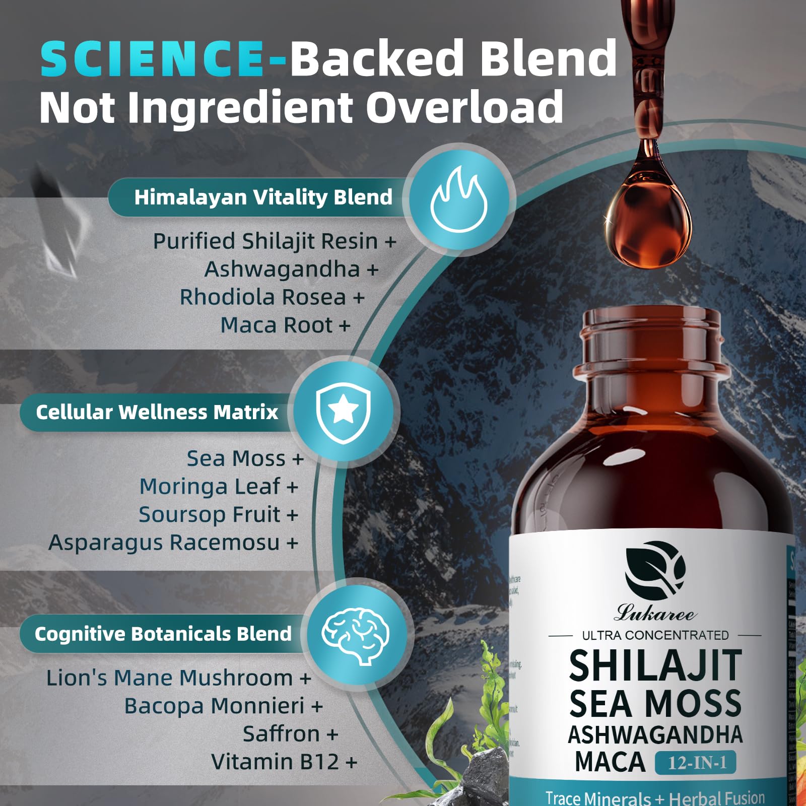 Shilajit Liquid Drops, 12-in-1 Complex - Sea Moss, Ashwagandha, Maca, Fulvic Acid, Trace Minerals, Liquid Vitamins Supplement for Men and Women, Energy, Antioxidant, Immune Support, 60ML/2 FL Oz Lukaree uk supplements