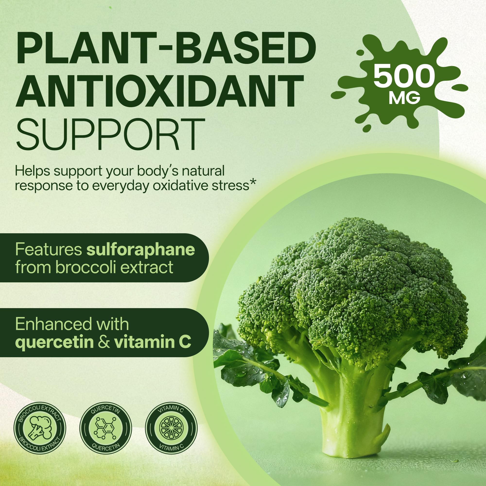 Liposomal Sulforaphane 500mg Supplement from Broccoli Extract with Quercetin, Black Pepper & Vitamin C – Antioxidant, Detox & Cellular Support, Cellular Health Formula for Men & Women, 60 Capsules inGreens uk supplements
