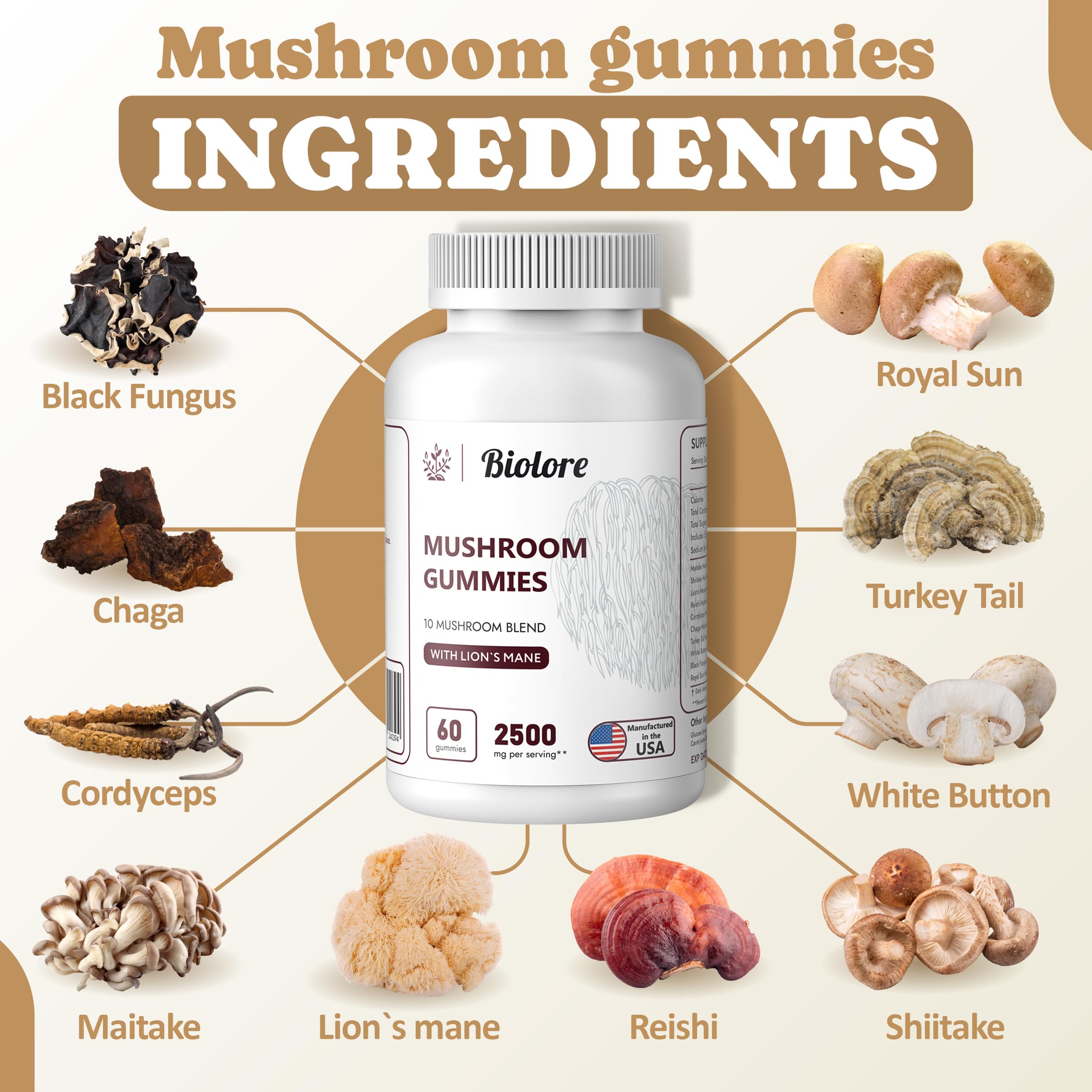 Biolore Mushroom Complex Gummies: 10 Powerful Mushrooms with Chaga, Lions Mane Biolore uk supplements