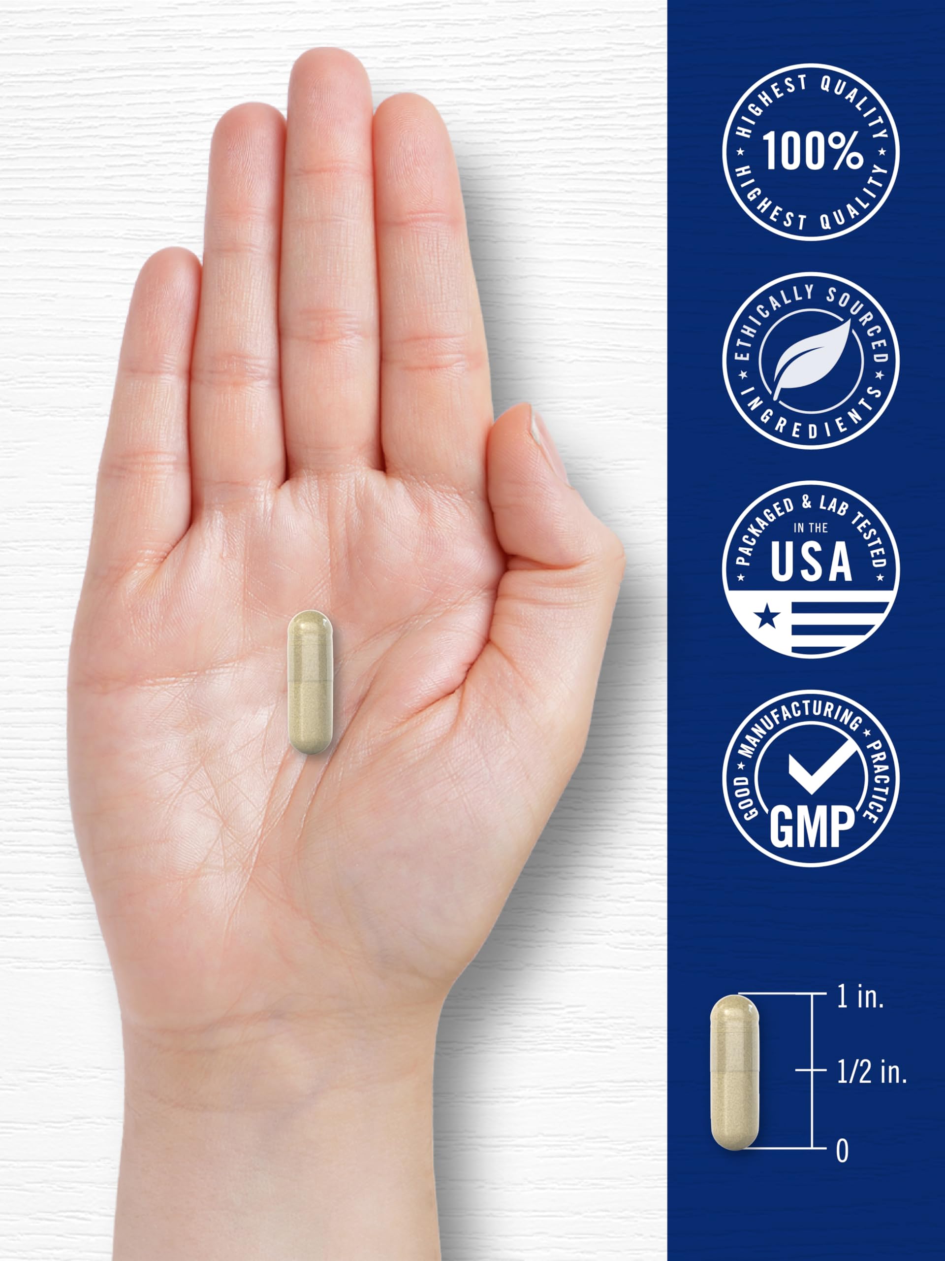 Carlyle Cortisol Supplement | 60 Vegan Capsules | Ashwagandha & Magnesium Complex | Non-GMO, Gluten Free Carlyle uk supplements