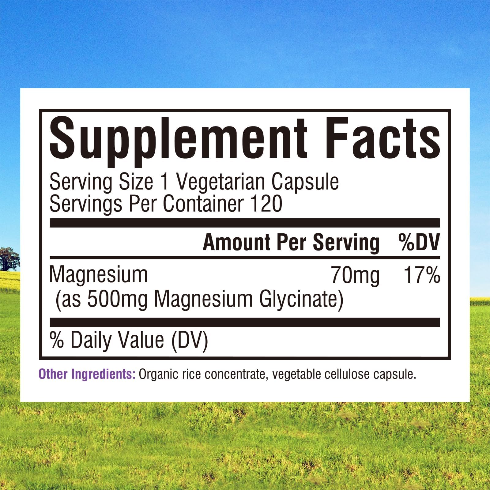 Innate Vitality Magnesium Glycinate 500mg | 70mg Elemental Magnesium Supplement - High Absorption, Non Buffered, Non-GMO & No Gluten - Vegan - Nerve Health - 120 Capsules (Pack of 1) Innate Vitality uk supplements