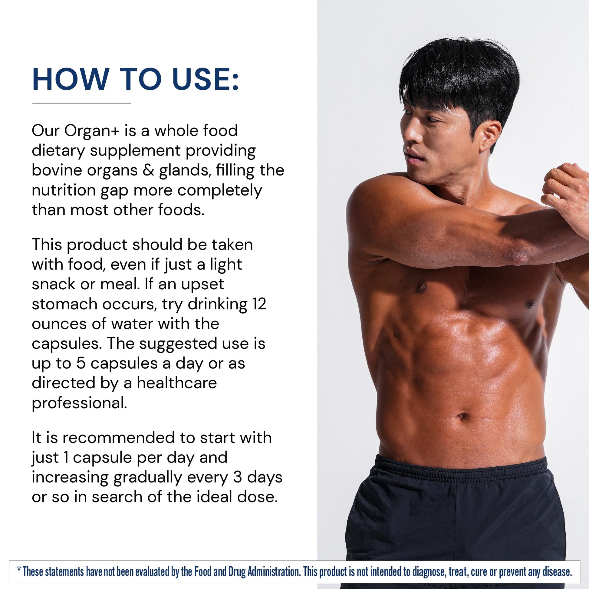 BodyHealth Organ+ Grass-Fed Glandular Organ Complex, Grassfed Beef Organ Supplement, Dessicated Beef Liver, Heart, Kidney, Pancreas, Spleen, Non GMO, Adrenal, Supplement, (150 Capsules) BodyHealth uk supplements