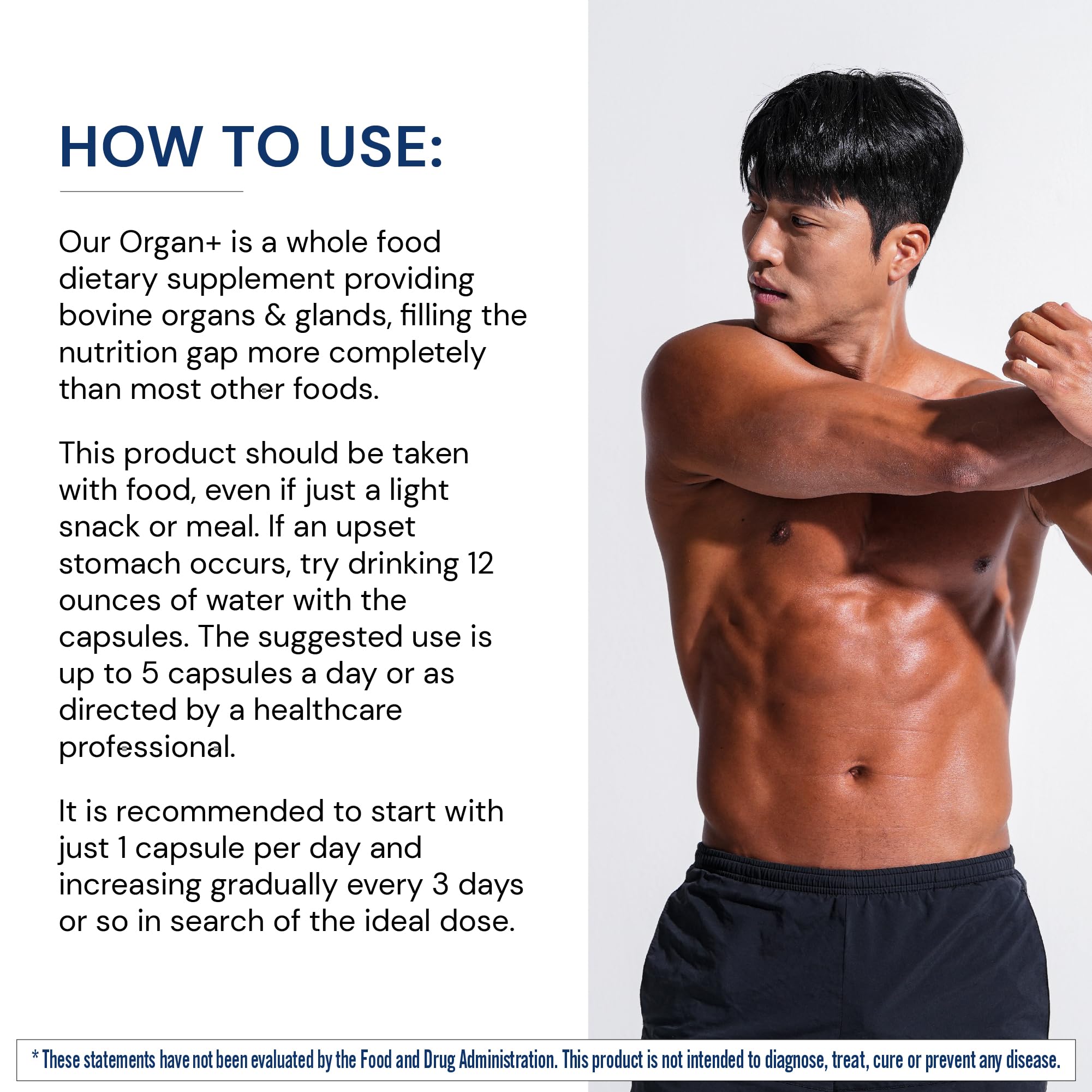BodyHealth Organ+ Grass-Fed Glandular Organ Complex, Grassfed Beef Organ Supplement, Dessicated Beef Liver, Heart, Kidney, Pancreas, Spleen, Non GMO, Adrenal, Supplement, (150 Capsules) BodyHealth uk supplements