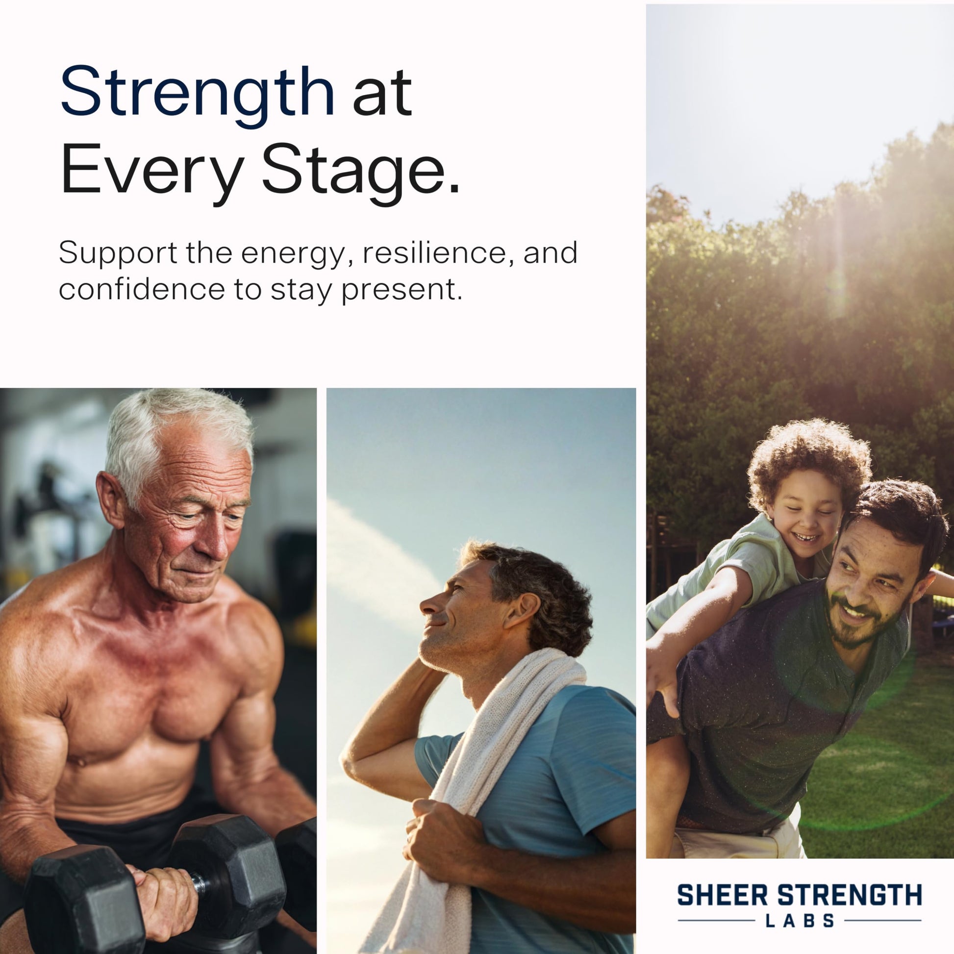 Testosterone Booster for Men - Sheer Alpha T-Booster - Clinically Backed Dose, Strongest Formula - Made in USA - Premium Blend of Fadogia Agrestis Tongkat Ali and Shilajit. 30 Servings Sheer Strength Labs uk supplements