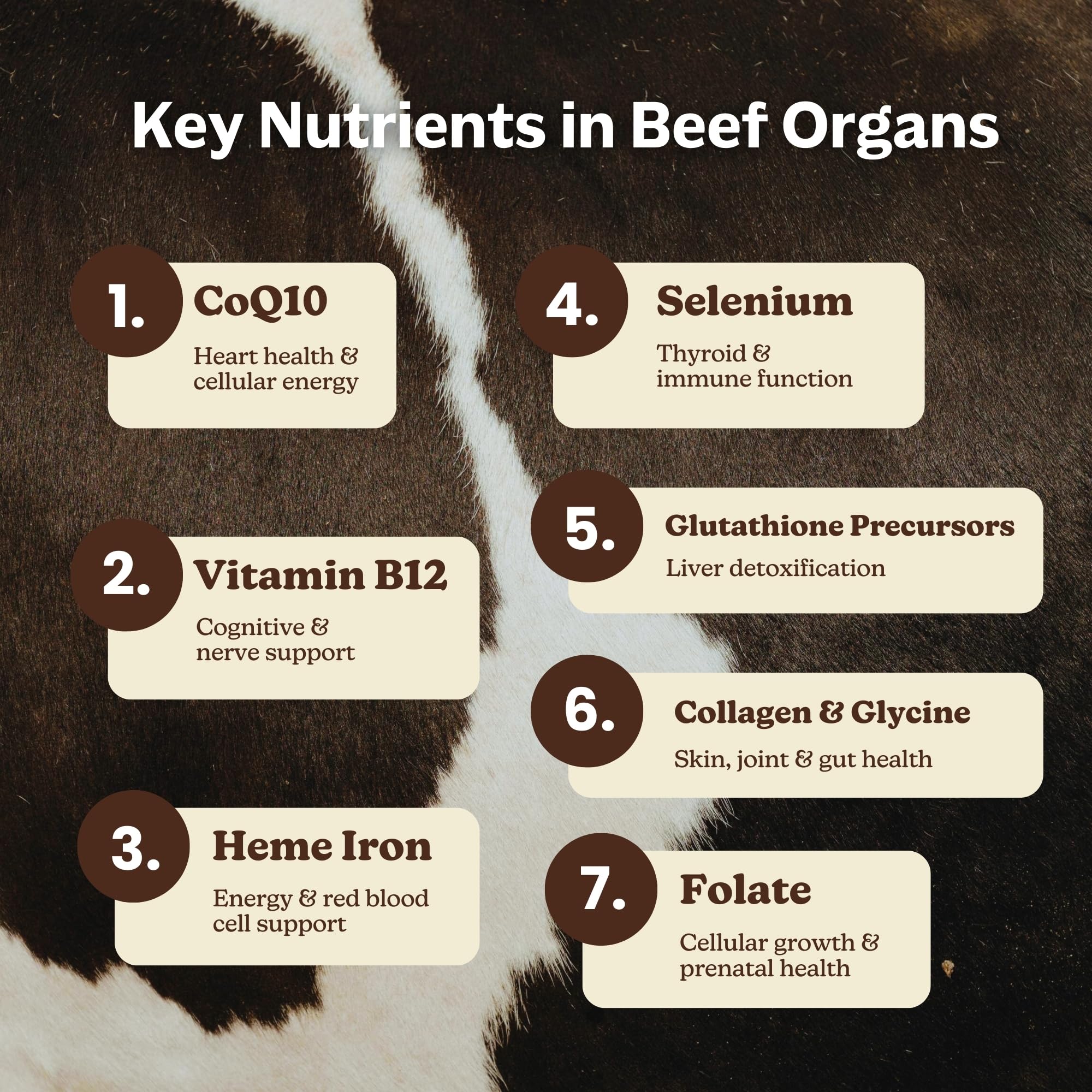MK Supplements Grass-Fed Beef Organs Capsules | 5 Organs in Nature-Identical Ratios | B12, Copper & Heme Iron | Regeneratively Raised | 150 Capsules MK Supplements uk supplements