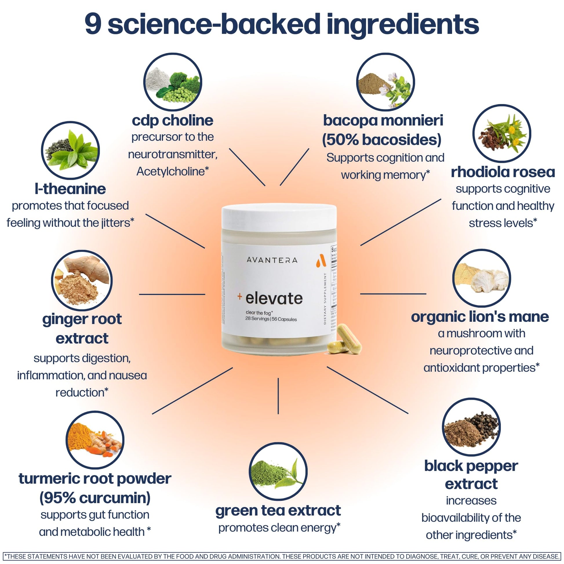 Avantera Elevate Premium Nootropic Supplement - Beat Brain Fog - Best Focus Supplements for Memory & Focus Support - Energy Without Crash - 56 Count Pills for Women & Men* Avantera uk supplements