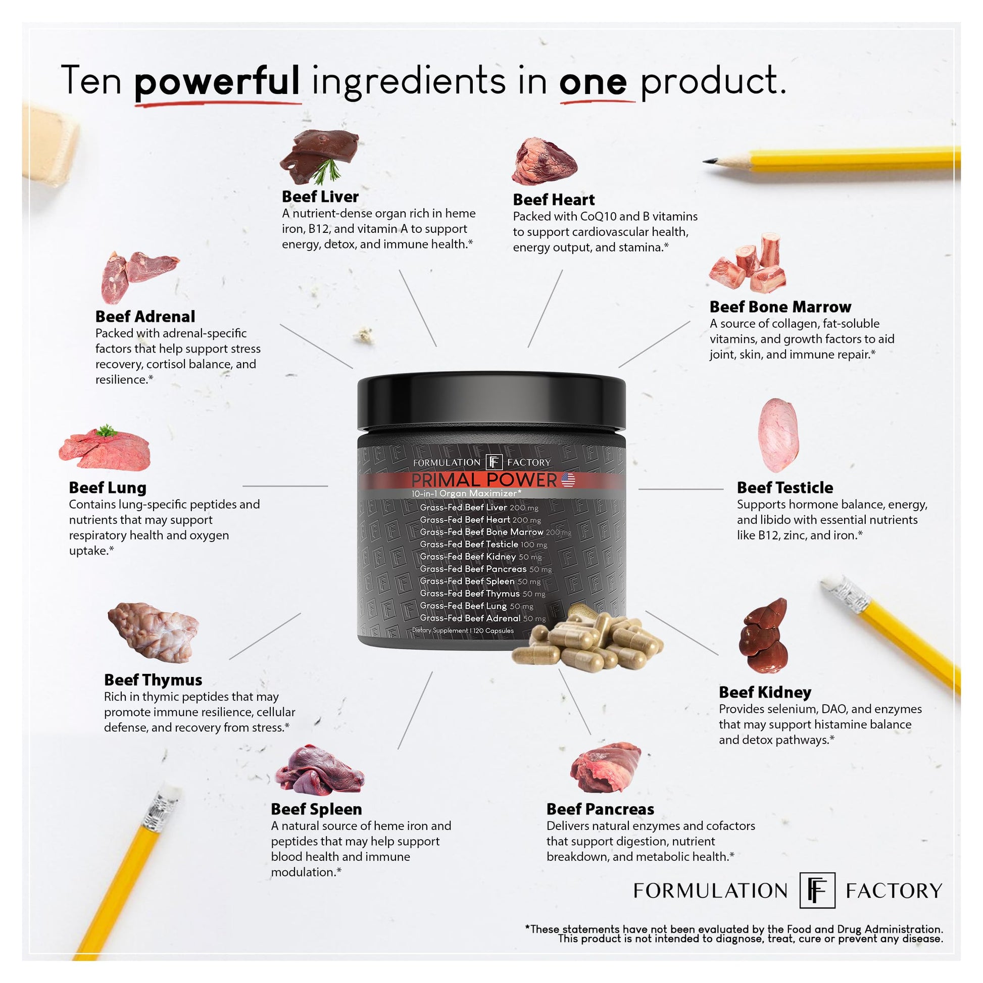 Formulation Factory Primal Power 10-in-1 Beef Organ Supplement - Grass Fed Beef Liver Capsules with Heart, Bone Marrow, Kidney, Testicle - Freeze Dried Organ - 120 Capsules, 2 Month Supply Formulation Factory uk supplements