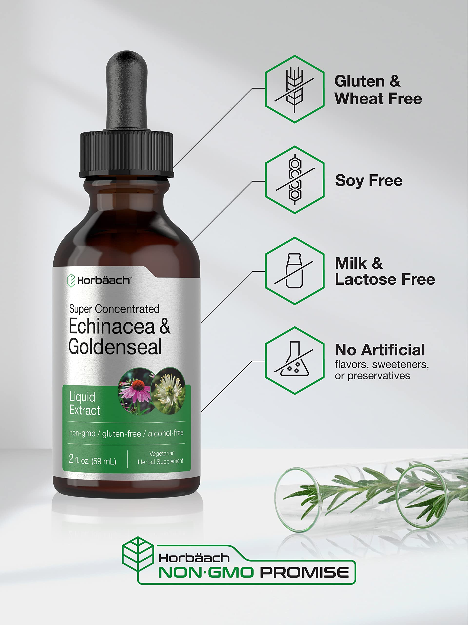 Echinacea Goldenseal Liquid Extract | 2 fl oz | Alcohol Free Tincture Drops | Vegetarian Horbäach uk supplements