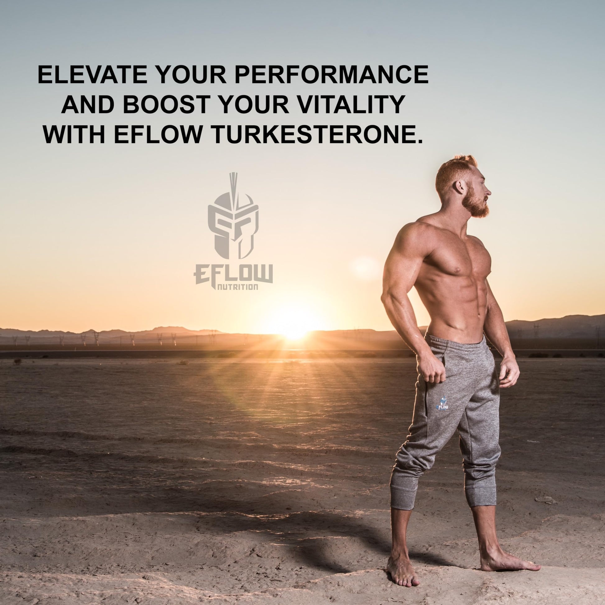 eFlow Nutrition Turkesterone (500 mg) Ajuga Turkestania Extract Complexed eFlow Nutrition uk supplements