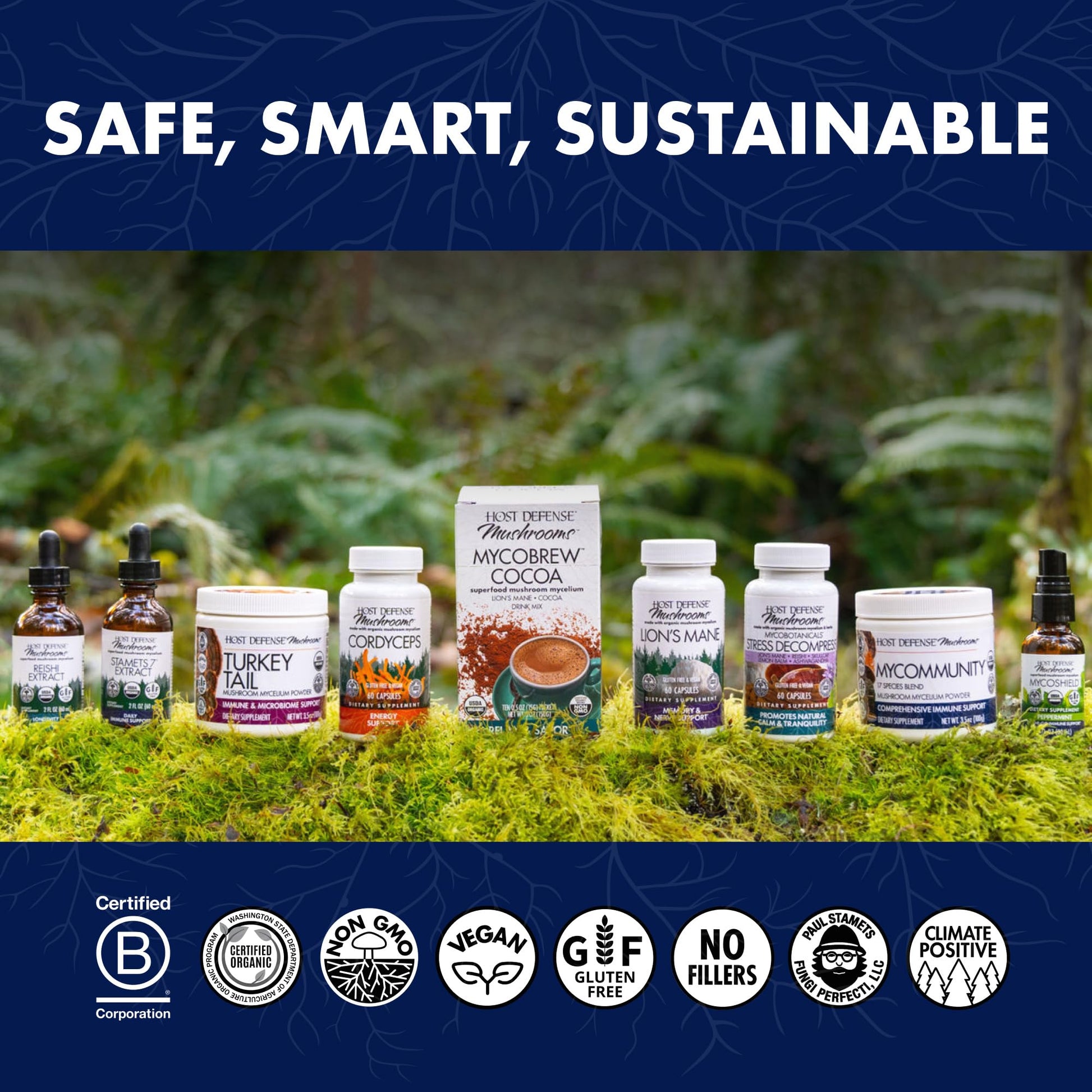 Host Defense Mushrooms Lion's Mane - Brain Health Support Supplement for Focus & Memory Function - Immune & Nervous System Support Supplement- 30 Capsules Host Defense uk supplements