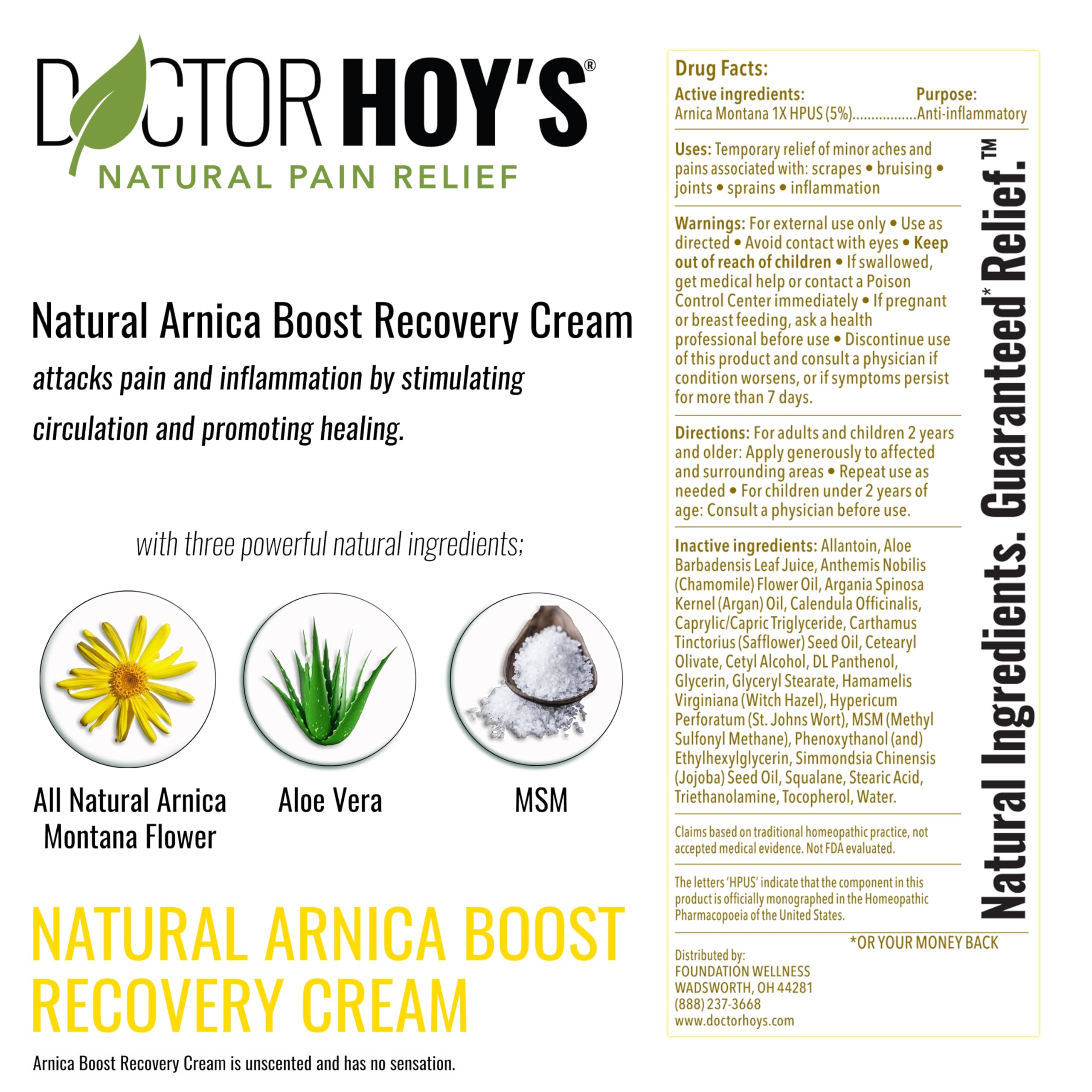 DOCTOR HOY'S Natural Arnica Boost Recovery Cream, Bruise and Muscle Pain Relief Cream, Topical Homeopathic Formula with Arnica Montana for Rapid Bruise Relief (6 Fl Oz) DOCTOR HOY'S uk supplements