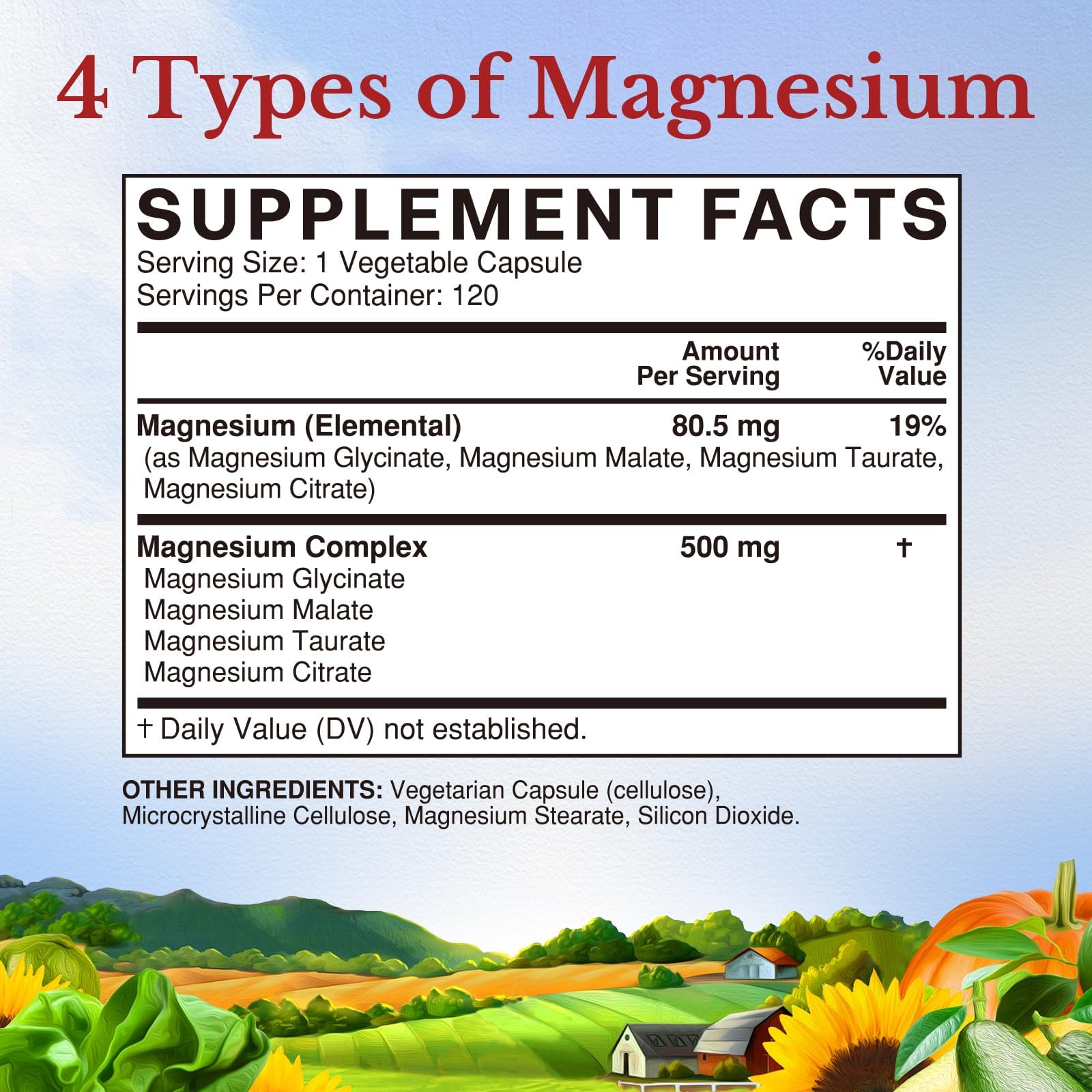 Vitalitown Magnesium Complex Supplement 500mg - NSF Certified Magnesium Glycinate, Malate, Taurate & Citrate - Chelated High Absorption & Gentle on Stomach - Vegan Non-GMO 120 Capsules VITALITOWN uk supplements