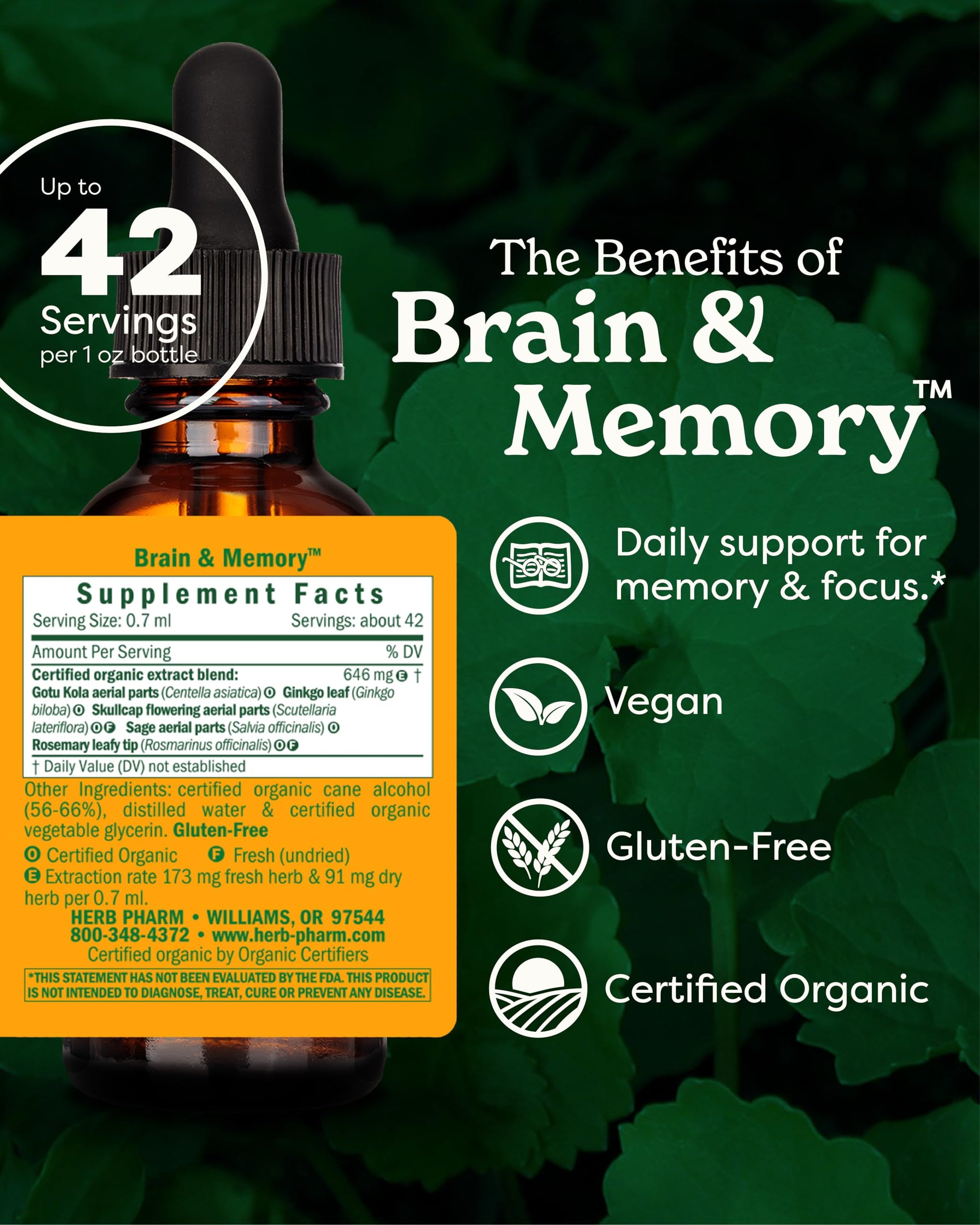 Herb Pharm Organic Nootropic Brain & Memory Supplement with Ginkgo Biloba Liquid Extract: Fast Absorption for Mental Focus Support, Ginkgo Supplement, Vegan, Gluten-Free, Non-GMO, 1 Oz Herb Pharm uk supplements