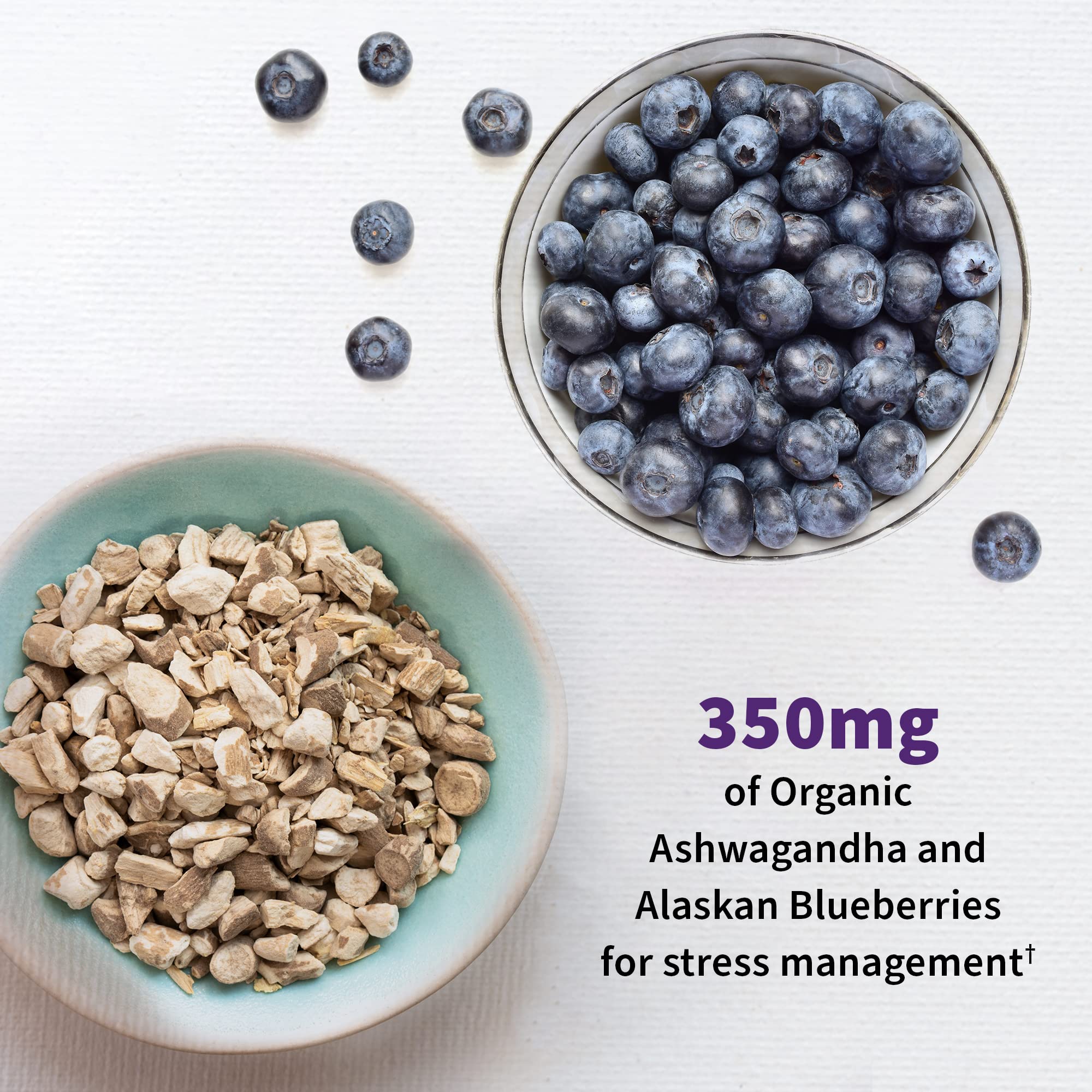 Garden of Life Probiotics Mood+ Dr Formulated Acidophilus Probiotic Supplement - Promotes Emotional Well-Being, Relaxation and Digestive Balance - Ashwagandha for Stress Management, 60 Veggie Caps Garden of Life uk supplements