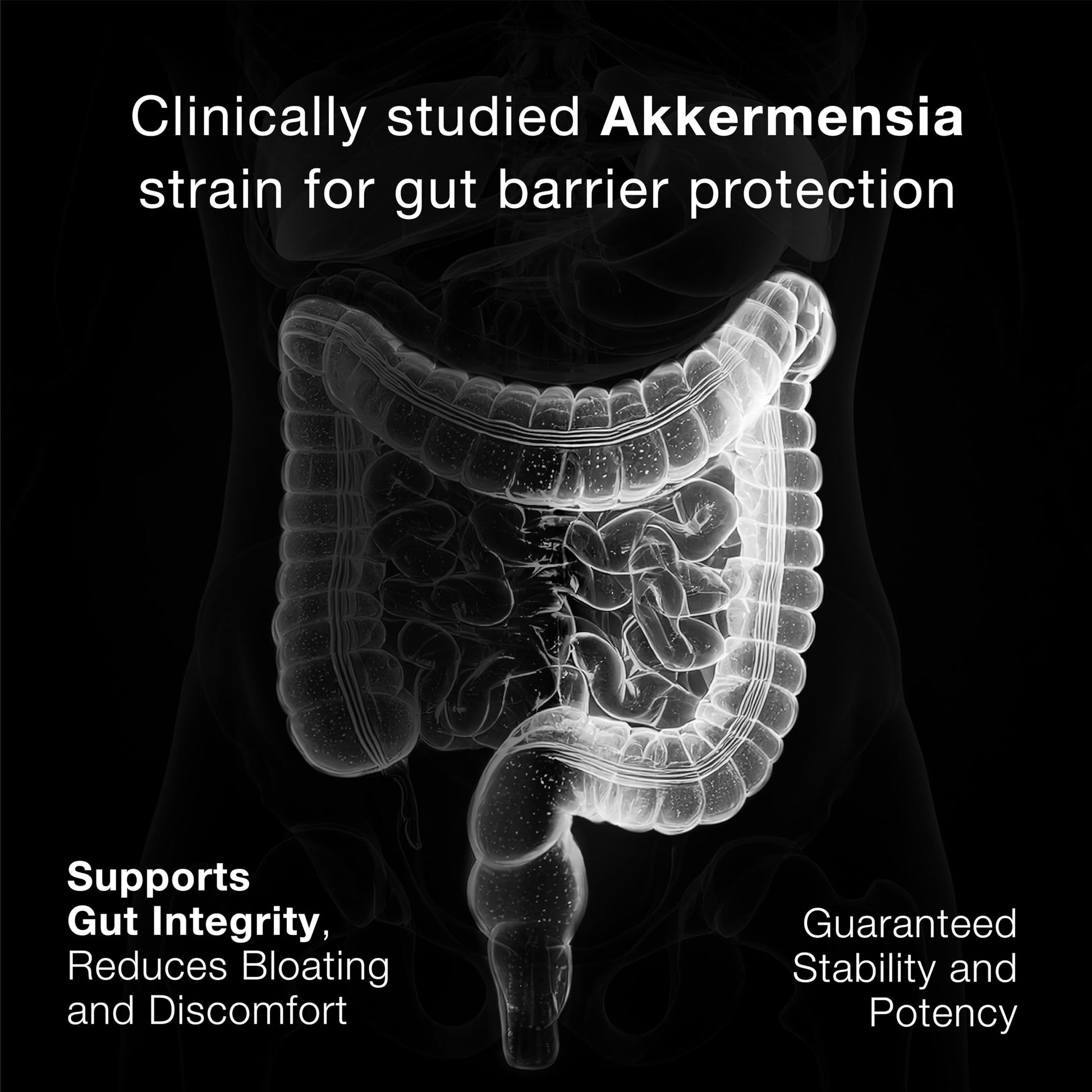 Toniiq Akkermansia Probiotic – 10 Billion TFU – Supports Gut Health & GLP-1 Activity Toniiq uk supplements