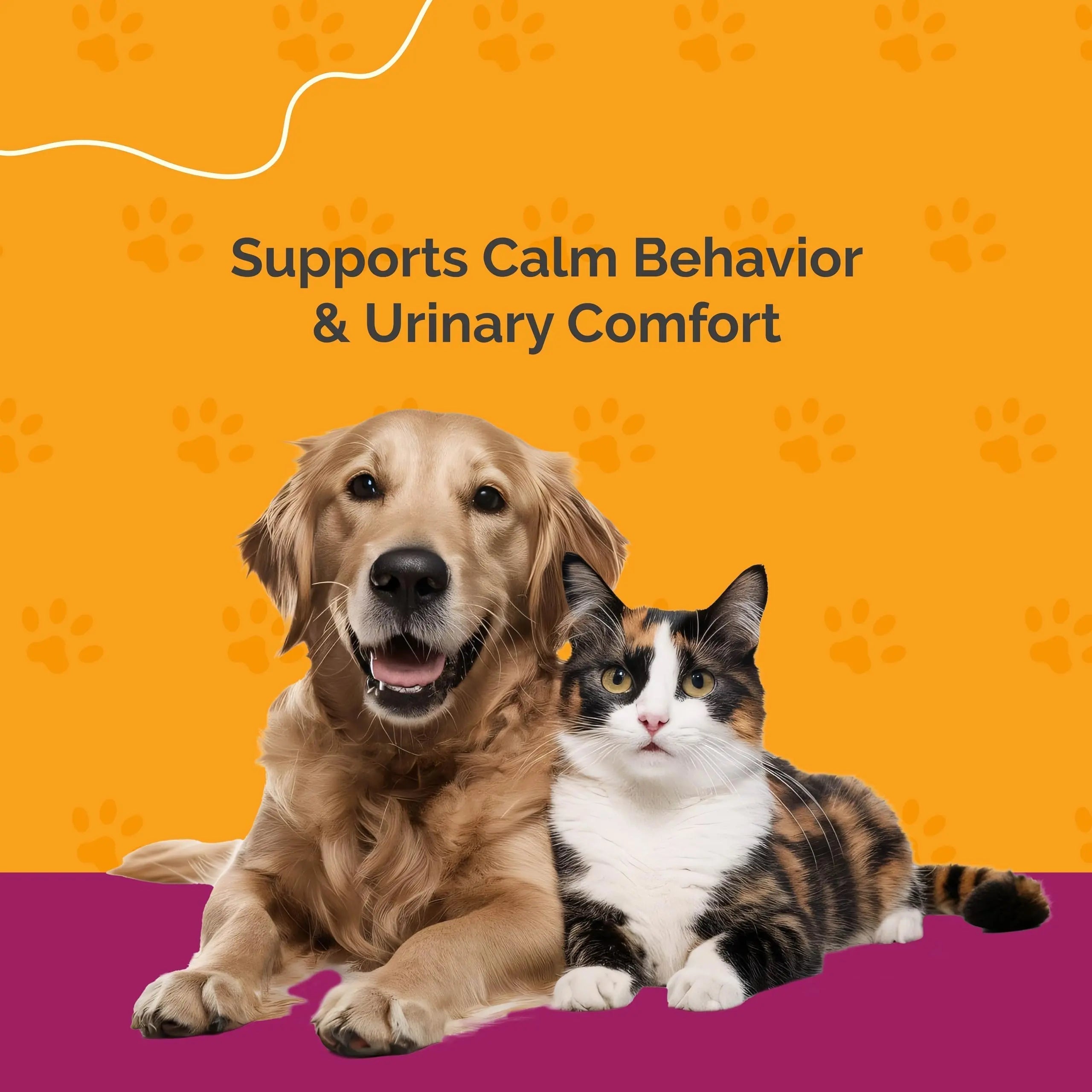 PureCat Urinary Tract Infection Care for Cat & Dog | Calming Urinary Tract & Kidney Support for Pets | Bladder Infection Treatment | UTI Drops | Veterinarian Recommended PureCat uk supplements