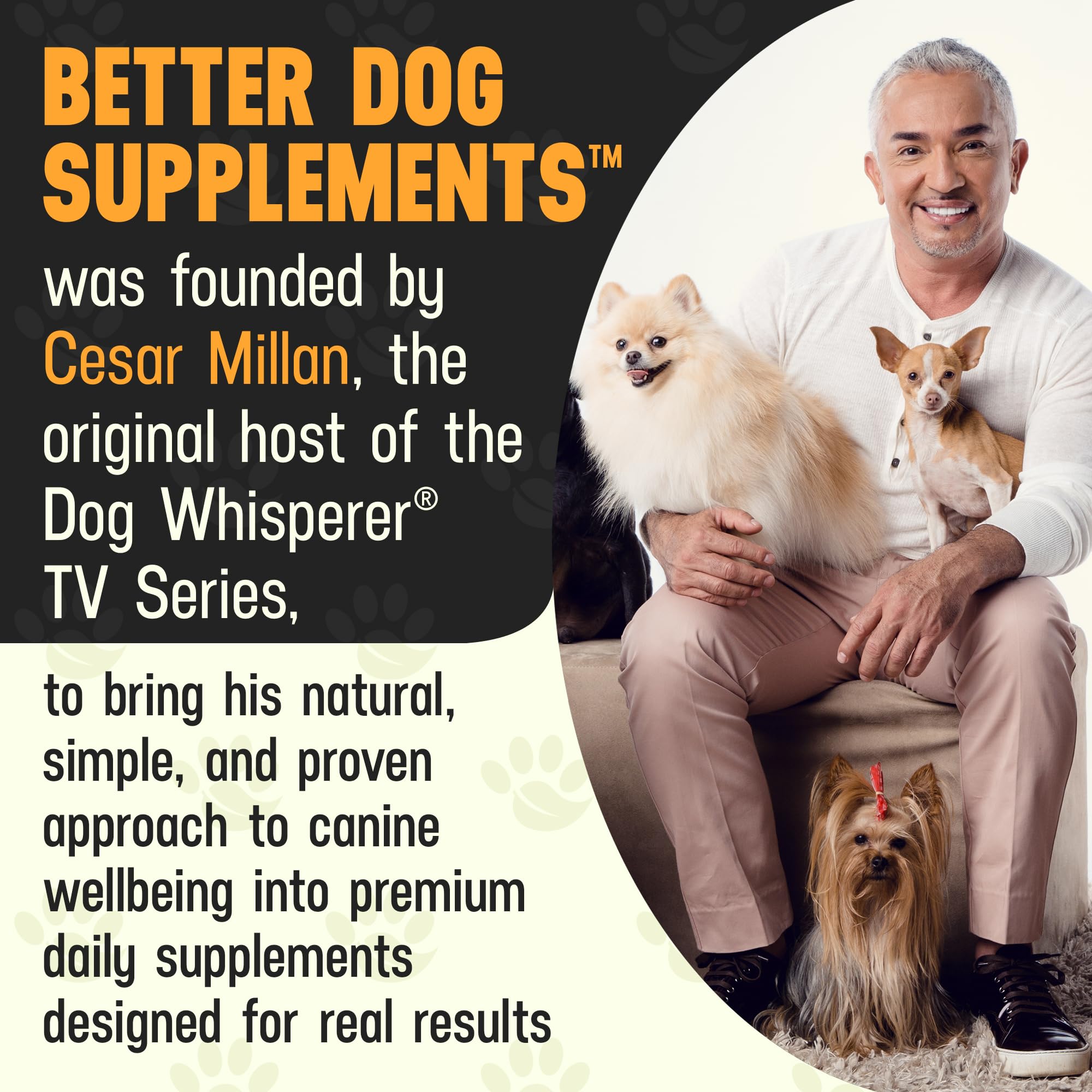 Better Dog Supplements Happy-Go-Lucky Belly by Cesar Millan - Natural Dog Digestive Support Powder – Dog Constipation Relief, Gut Balance & Regularity with Herbal Fiber for Dogs – 4oz (60-Day Supply) Better Dog Supplements By Cesar Millan uk supplements