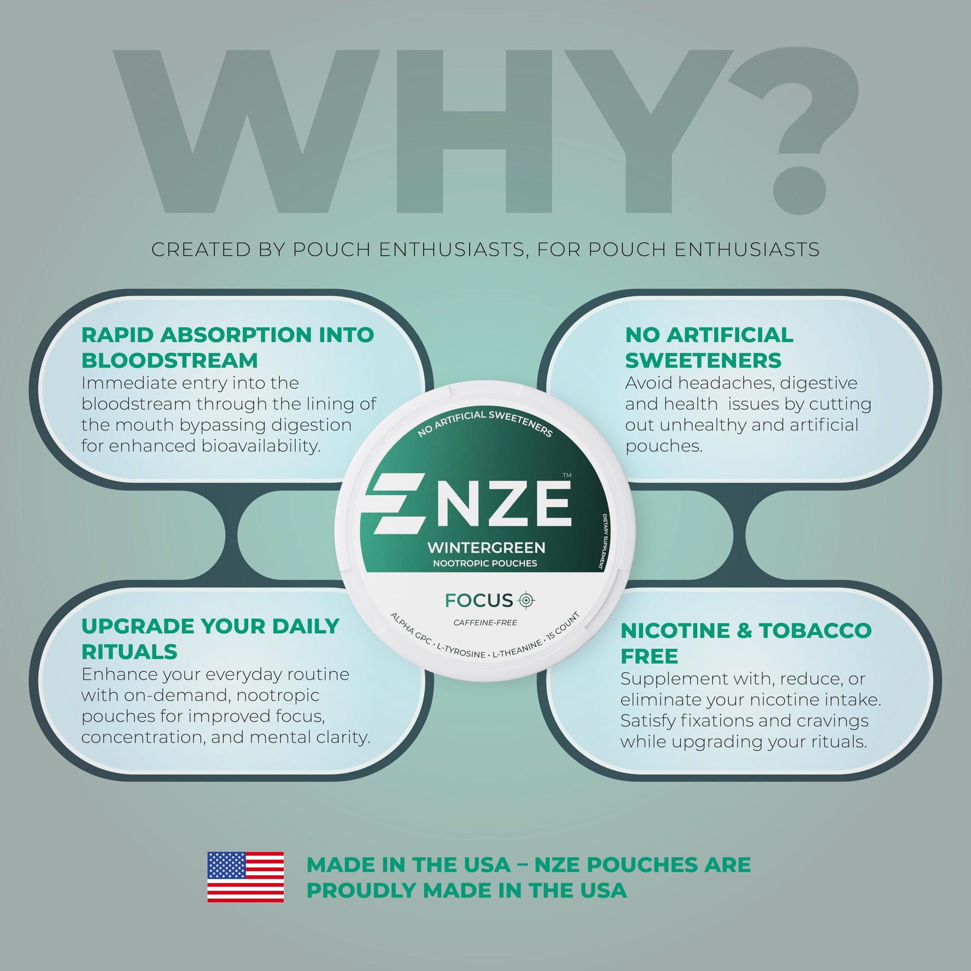 NZE Caffeine Free Nootropic Pouches (Wintergreen) - Nootropic Pouches with Alpha GPC, L-Tyrosine & L-Theanine - No Sugar or Artificial Sweeteners - 15 Pouches Per Can - 5 Pack NZE uk supplements