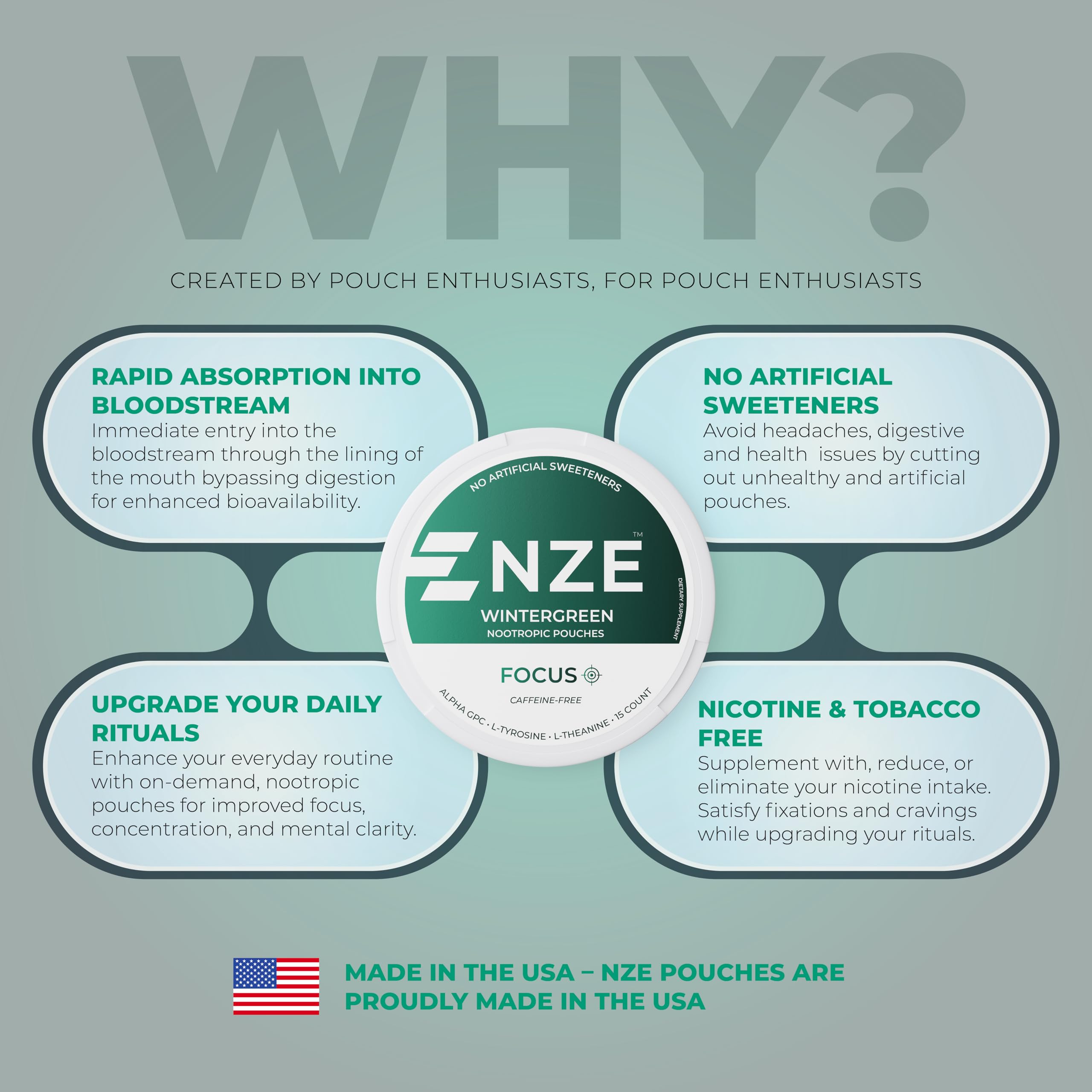 NZE Caffeine Free Nootropic Pouches (Wintergreen) - Nootropic Pouches with Alpha GPC, L-Tyrosine & L-Theanine - No Sugar or Artificial Sweeteners - 15 Pouches Per Can - 5 Pack NZE uk supplements