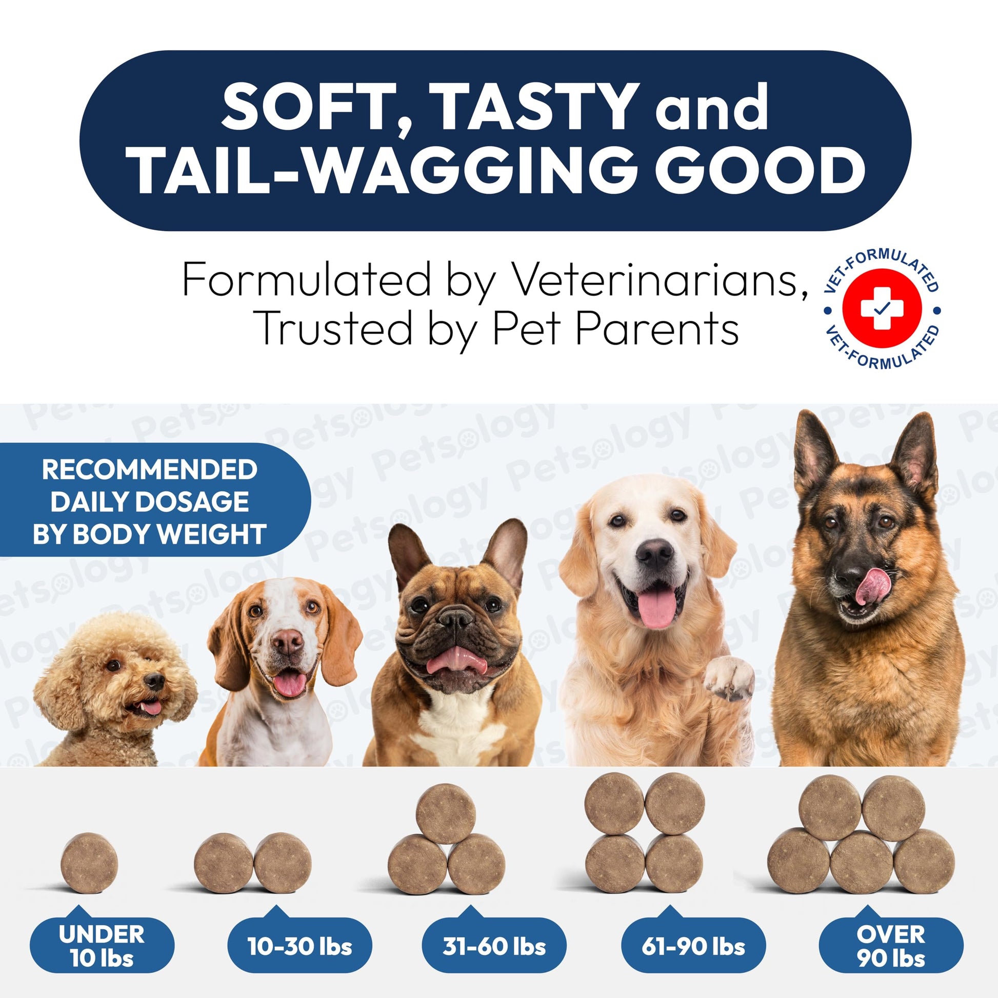 Probiotics for Dogs - 170 Dog Probiotics Chews - Digestive Enzymes & Prebiotics - Support Gut Health, Diarrhea, Gas & Constipation Relief - Itchy Skin, Allergies, Yeast Balance - Advanced Supplement Petsology uk supplements