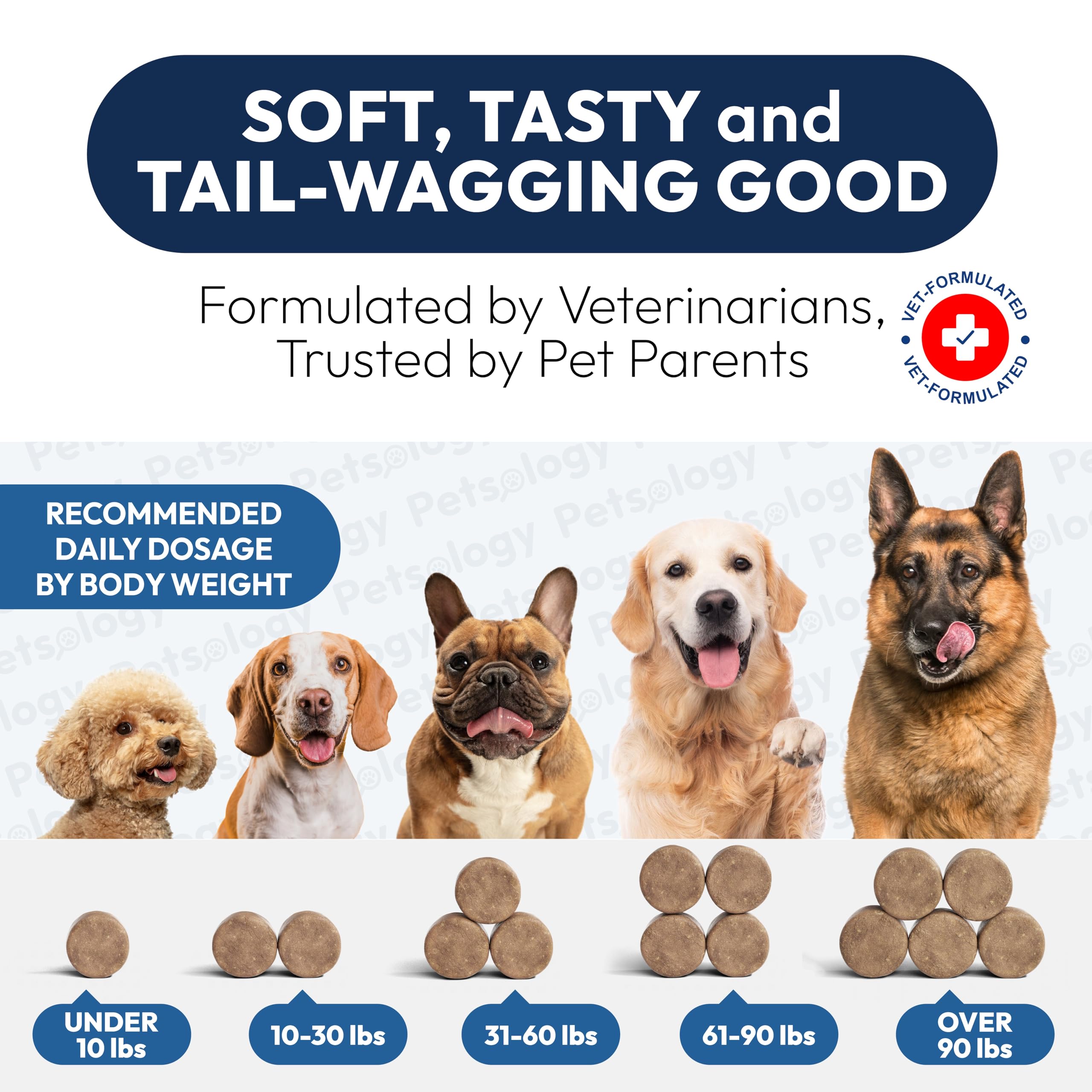 Probiotics for Dogs - 170 Dog Probiotics Chews - Digestive Enzymes & Prebiotics - Support Gut Health, Diarrhea, Gas & Constipation Relief - Itchy Skin, Allergies, Yeast Balance - Advanced Supplement Petsology uk supplements