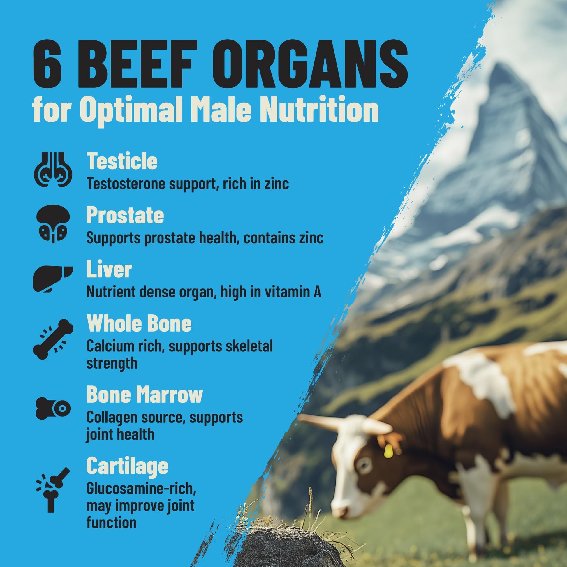 Grass Fed Beef Organ Supplement for Men - Male Optimization Pills - 6 Vital Beef Organs to Drive Prostate Health & Peak Performance, Made in USA, 90 Capsules (2 Pack) PRIMAL FURY uk supplements