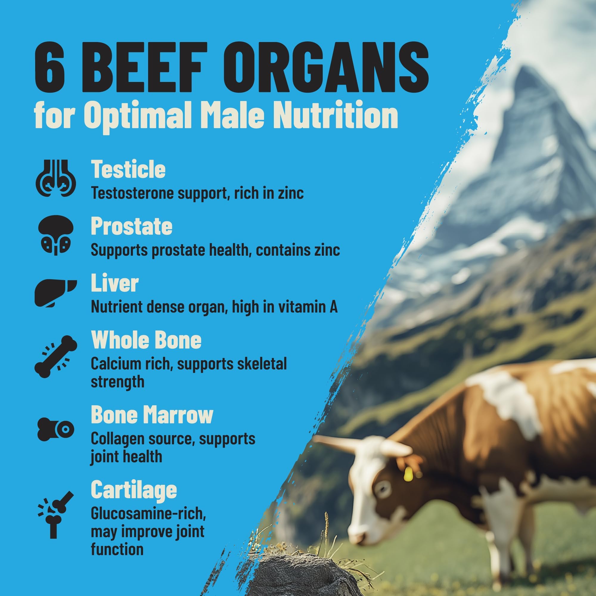 Grass Fed Beef Organ Supplement for Men - Male Optimization Pills - 6 Vital Beef Organs to Drive Prostate Health & Peak Performance, Made in USA, 90 Capsules (2 Pack) PRIMAL FURY uk supplements