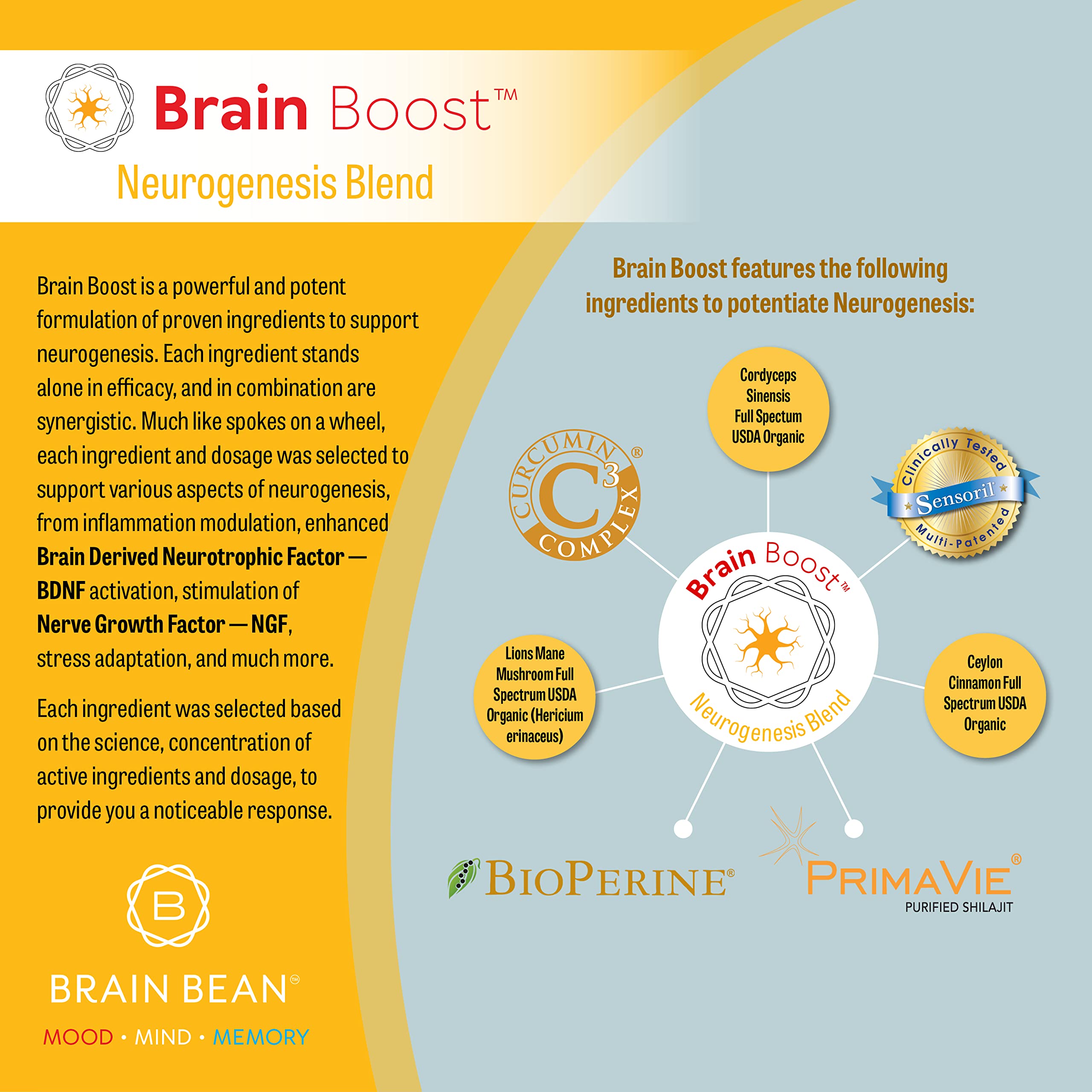 Brain Bean Brain-Boost (Formerly Brain Bean uk supplements