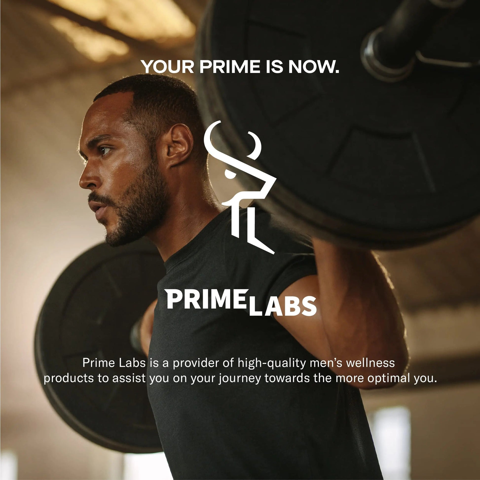 Prime Labs Night Duty - Nighttime Testosterone Booster & Sleep Support - PM Rest & Muscle Recovery Supplements - 60 Count Prime Labs uk supplements