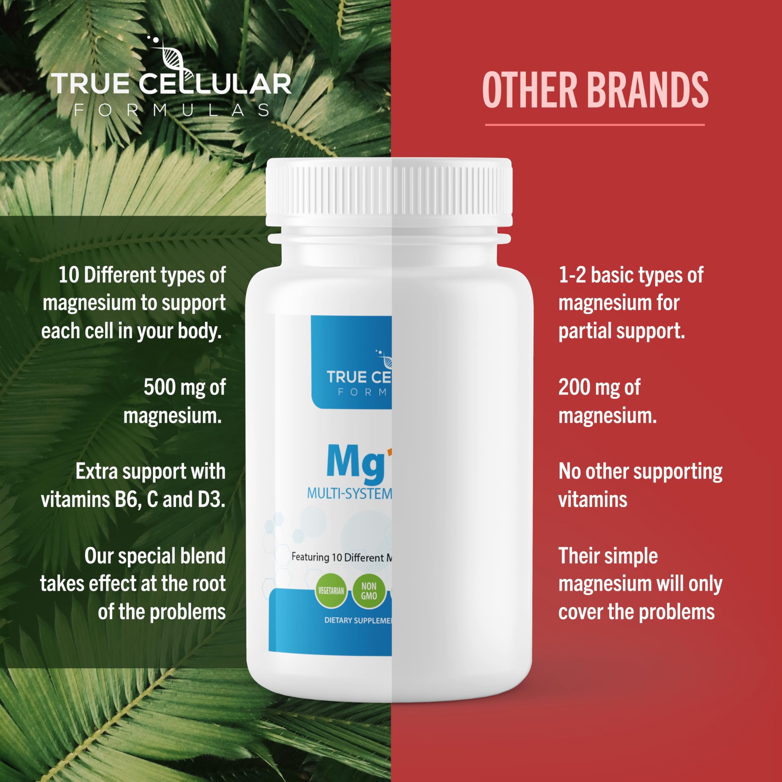 True Cellular Formulas Mg10X Multi-System Magnesium | Supplement to Support Sleep - 60 Capsules | Enhanced Sleep, Immune System & Metabolic Support | Includes Magnesium Glycinate, Citrate and More True Cellular Formulas uk supplements