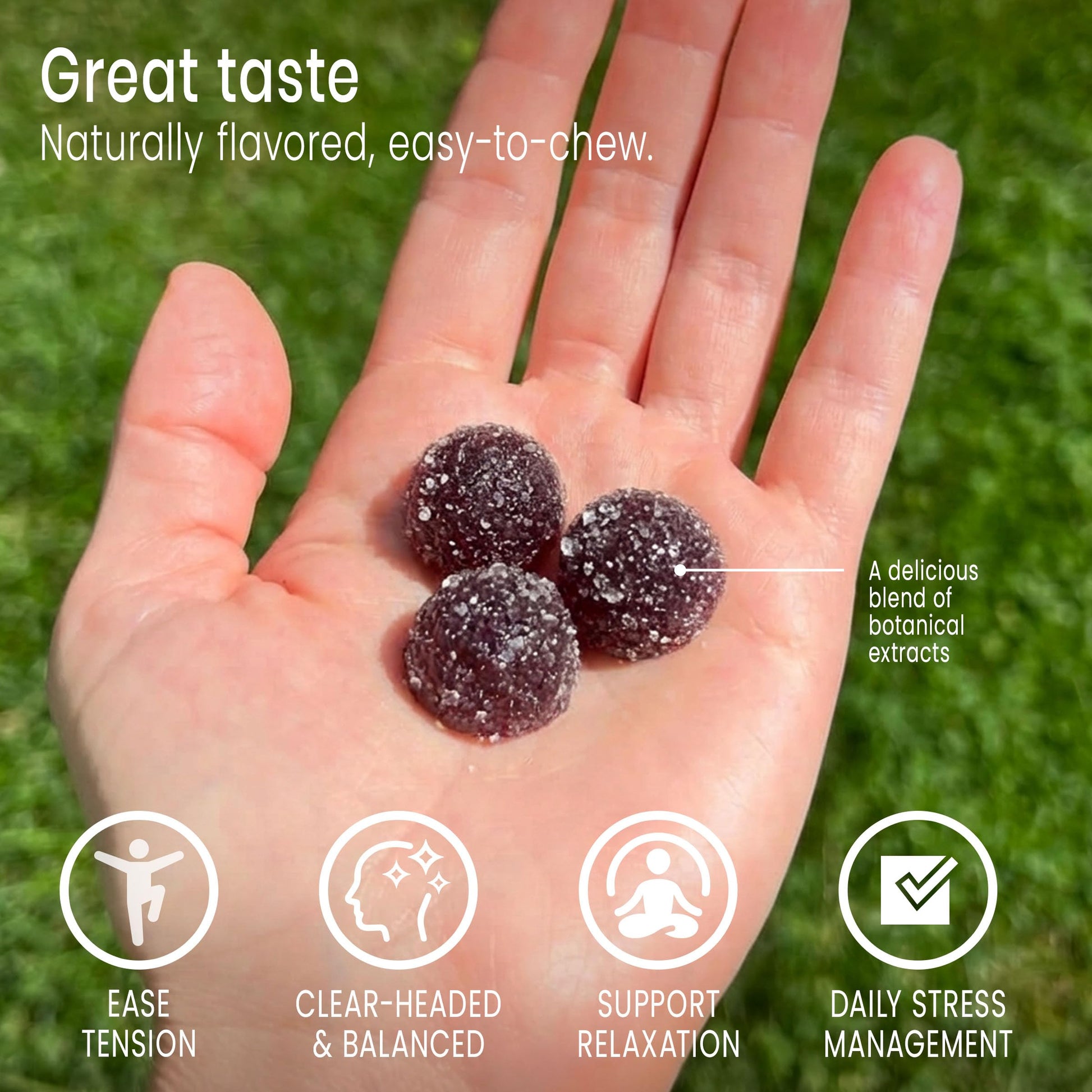 Sunsoil A World of Calm Organic Gummies, USDA Certified Organic, No Glucose, Vegan, Gluten-Free, Plant-Based Sunsoil Supplements uk supplements