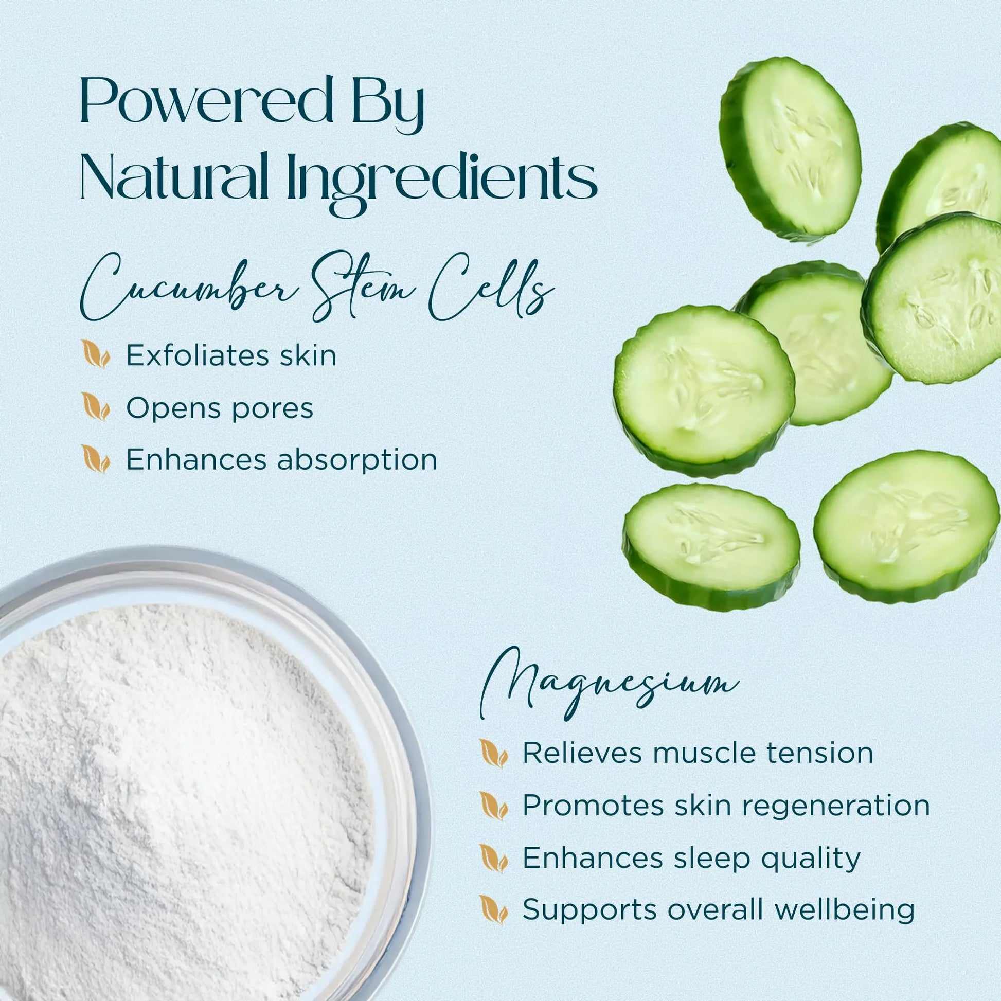 Abundant Natural Health MAG I.C. Magnesium Gel with Cucumber Stem Cells - Fast Muscle Relief, Soothing, Stingless, Safe for Sensitive Skin, Fragrance-Free, 200mL Abundant Natural Health uk supplements