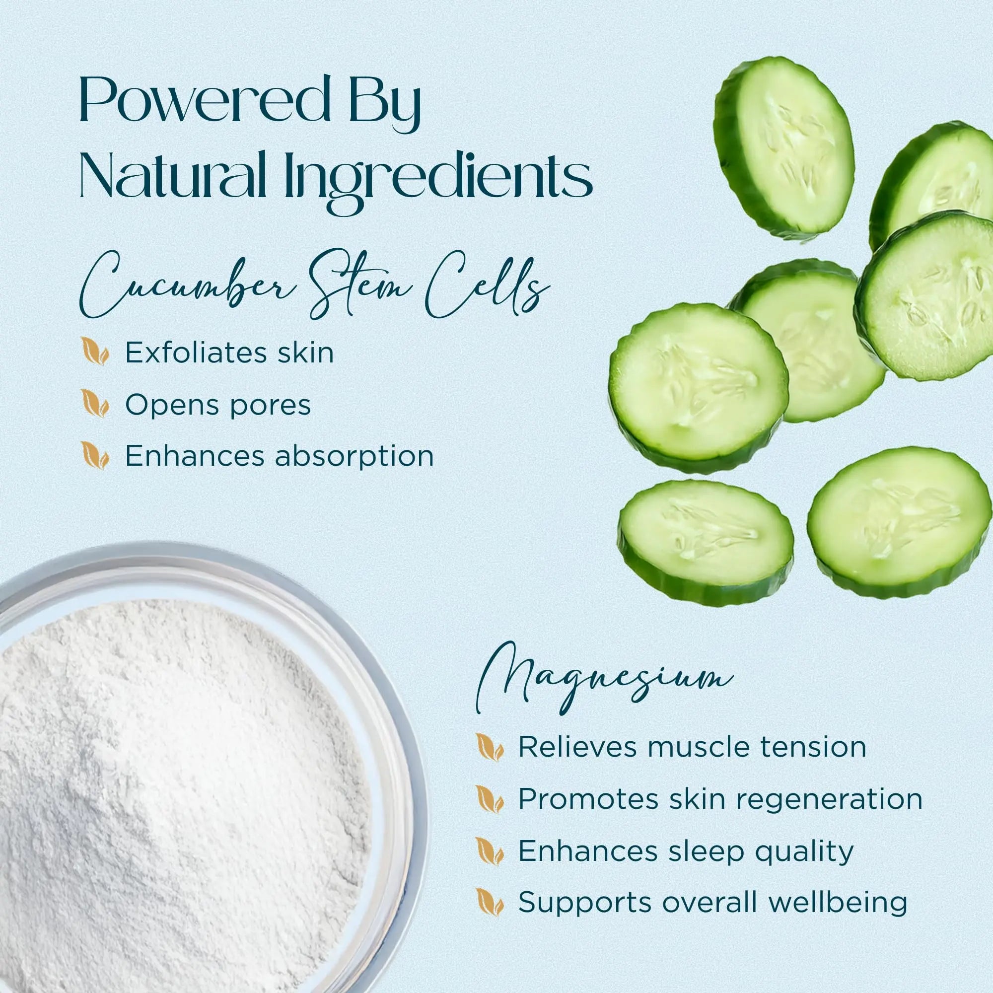Abundant Natural Health MAG I.C. Magnesium Gel with Cucumber Stem Cells - Fast Muscle Relief, Soothing, Stingless, Safe for Sensitive Skin, Fragrance-Free, 200mL Abundant Natural Health uk supplements