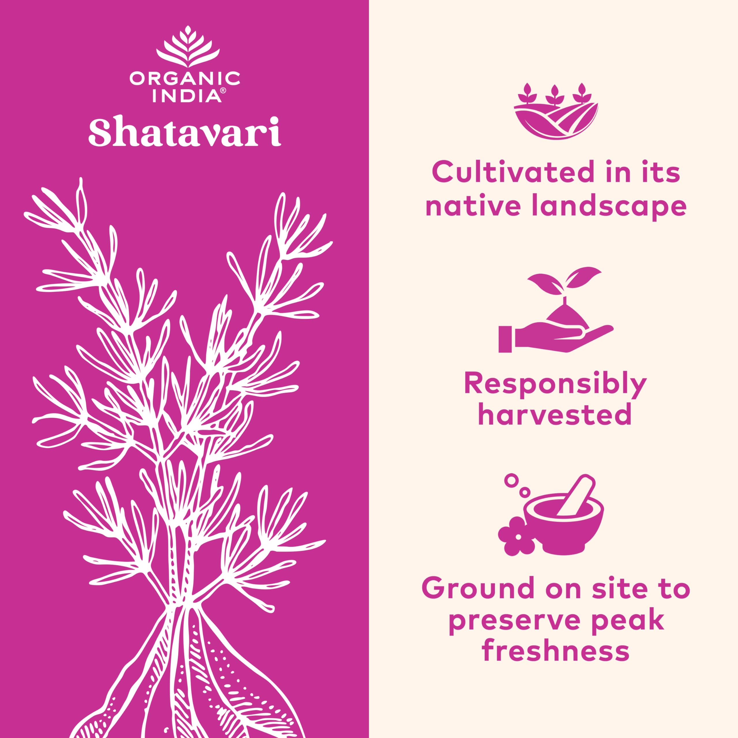 ORGANIC INDIA Shatavari Herbal Supplement - Supports Hormonal Balance, Immune and Inflammatory Response, Vegan, Gluten-Free, USDA Organic, Supports Reproductive Health - 90 Capsules ORGANIC INDIA uk supplements