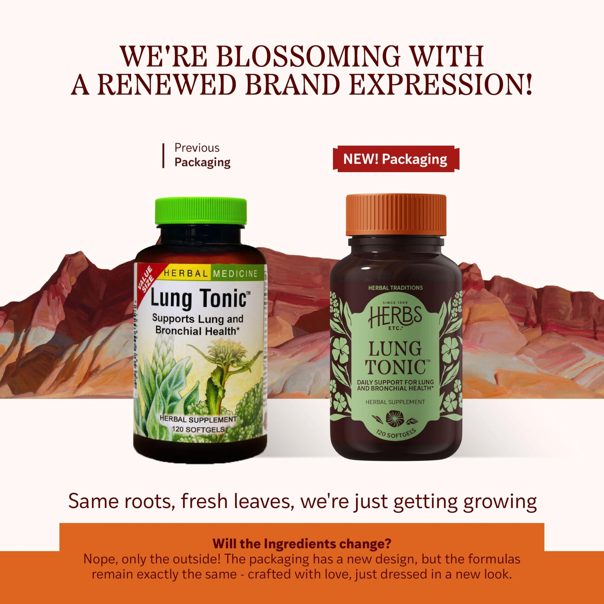 Herbs Etc. Lung Tonic - Lung Supplement for Bronchial Support - Healthy Breathing Support with Mullein, Horehound & Grindelia - 120 Softgels Herbs Etc. uk supplements
