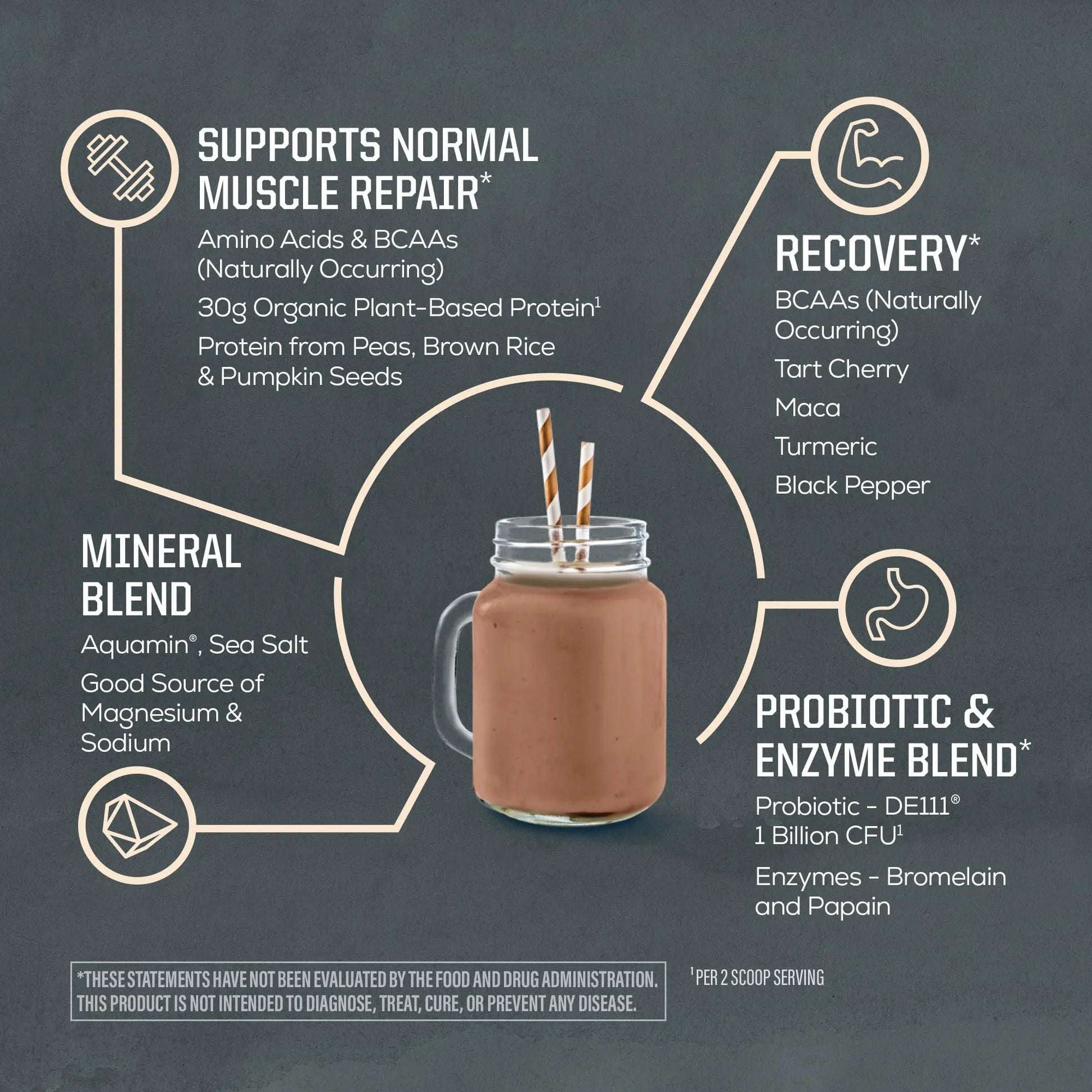 Sunwarrior Organic Plant Based Protein Powder | Vegan Organic Protein Powder with BCAA Amino Acids Plus Recovery Minerals & Botanicals | Non-GMO Soy Dairy & Gluten Free Sunwarrior uk supplements