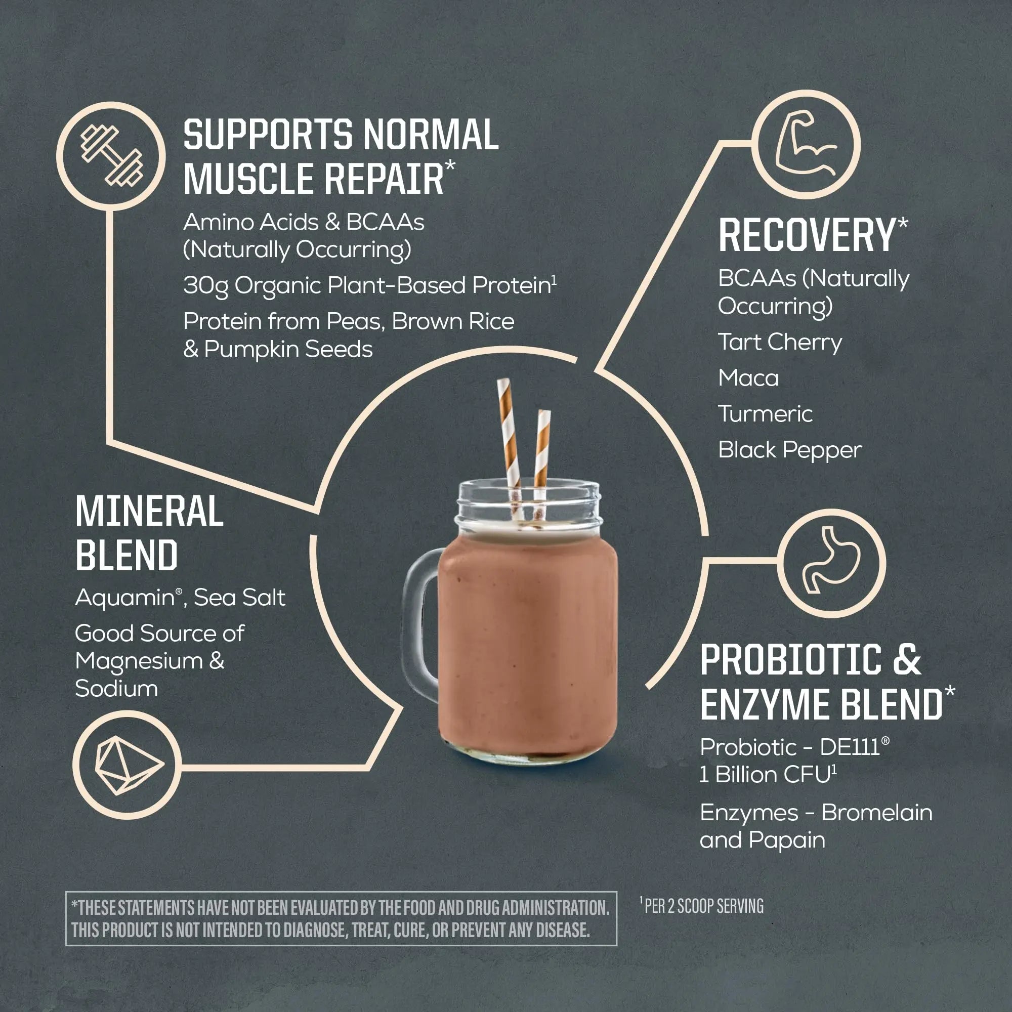 Sunwarrior Organic Plant Based Protein Powder | Vegan Organic Protein Powder with BCAA Amino Acids Plus Recovery Minerals & Botanicals | Non-GMO Soy Dairy & Gluten Free Sunwarrior uk supplements