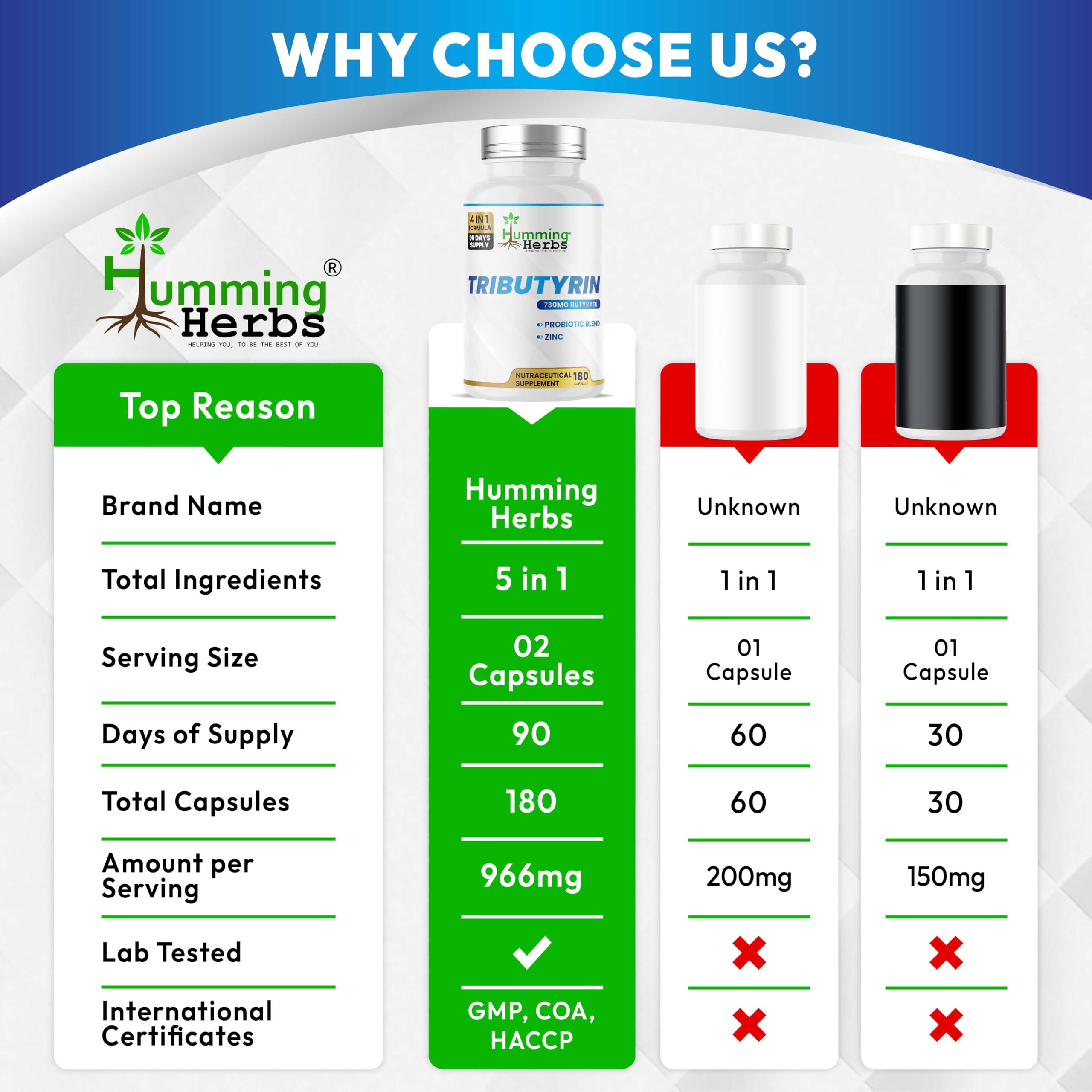 Humming Herbs Tributyrin Complex — 850 mg per Serving (95% Pure, yielding 731 mg Butyrate) with L-Glutamine, Zinc L-Carnosine, FOS & Probiotic Blend (180) Humming Herbs uk supplements