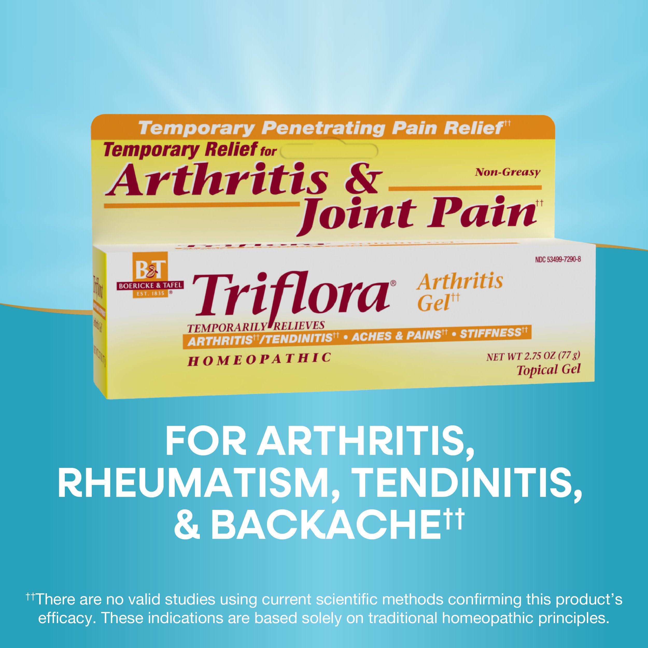 Boericke and Tafel Triflora Arthritis Gel, 2.75 Ounce Nature's Way uk supplements