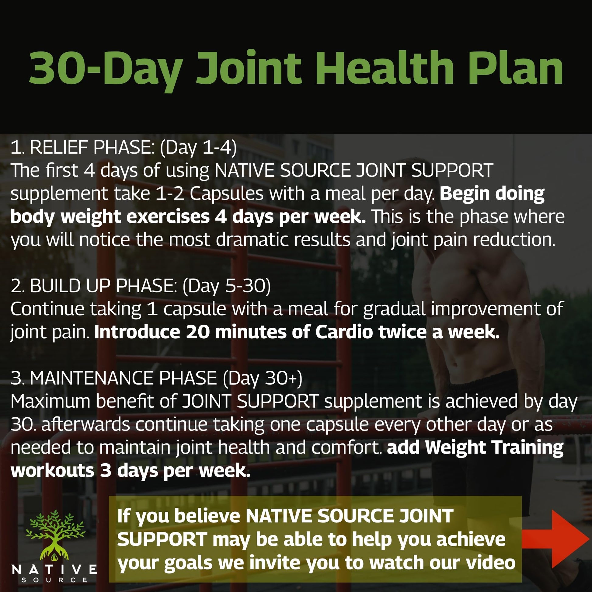 Native Source Joint Support Supplement - Turmeric - Tamarind - Boswellia - Fenugreek Native Source uk supplements