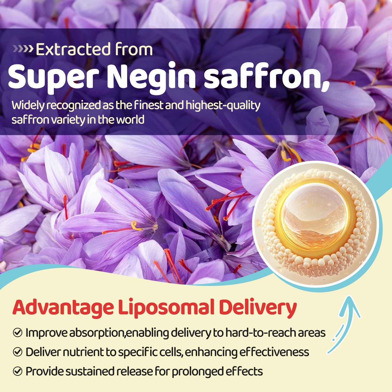 Liposomal Saffron Gummies for Kids 4+, Saffron Supplements w/Holy Basil, Rosemary, Magnesium Glycinate, Omega-3 & More, Brain Focus Support Supplement, Vegan, Organic, Sugar Free, 60 Chewables duwhot uk supplements