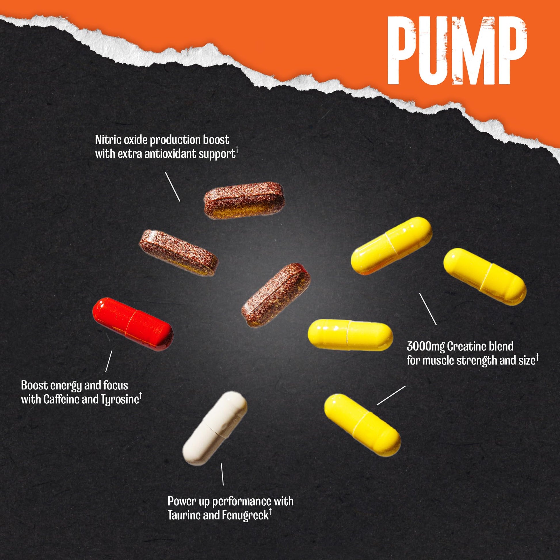 Animal Pump Pre-Workout Supplement – for Energy, Focus and Muscle Volumizing, with Nitric Oxide Boosters Including Stims and Nootropics, Creatine, Animal uk supplements