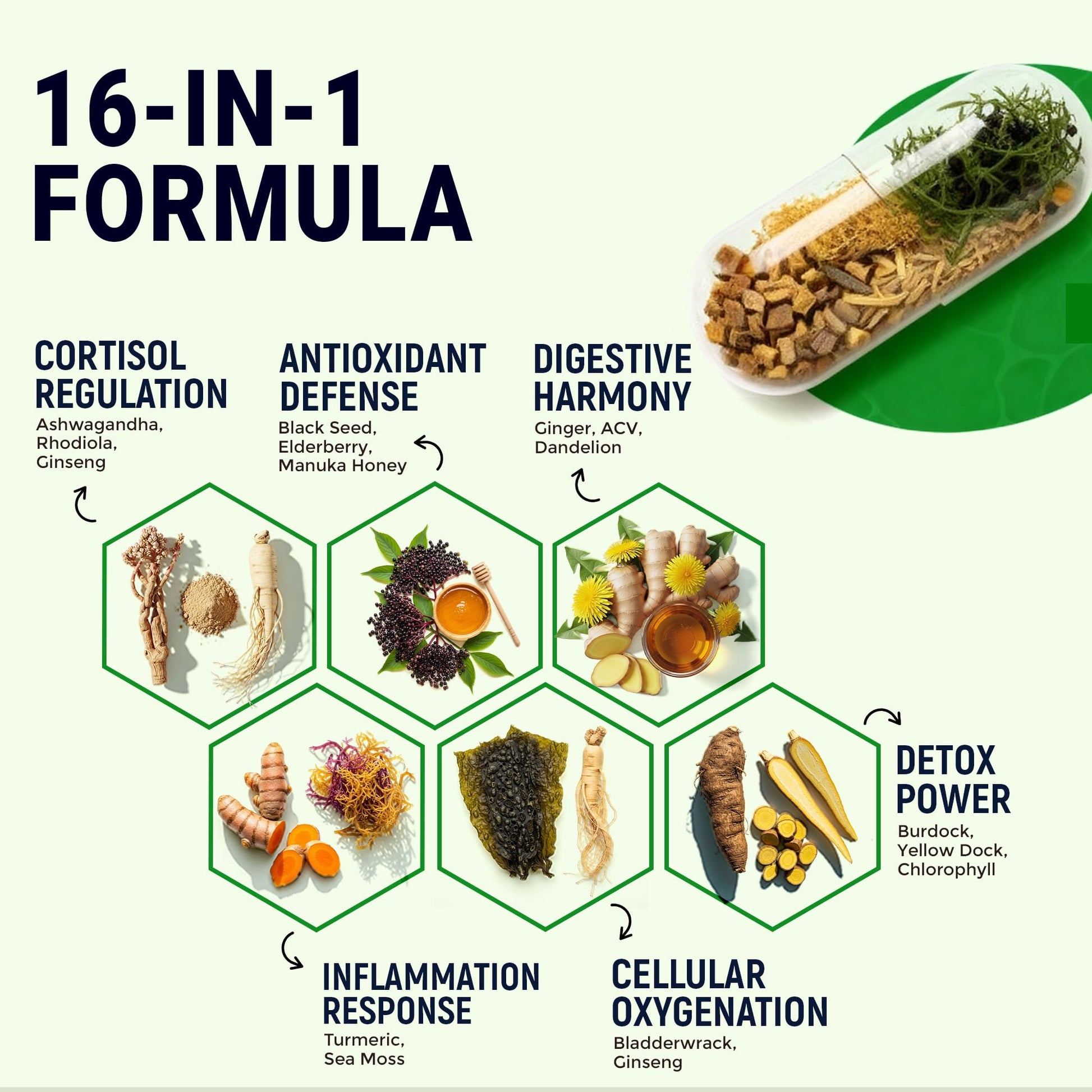 Sea Moss Black Seed Oil Ashwagandha Ginger - Advanced Irish Sea Moss Capsules All in One Supplement with Seamoss Black Seed Oil Ashwagandha Burdock Root Bladderwrack - Pills for Energy, Immune, Gut Opti Health uk supplements