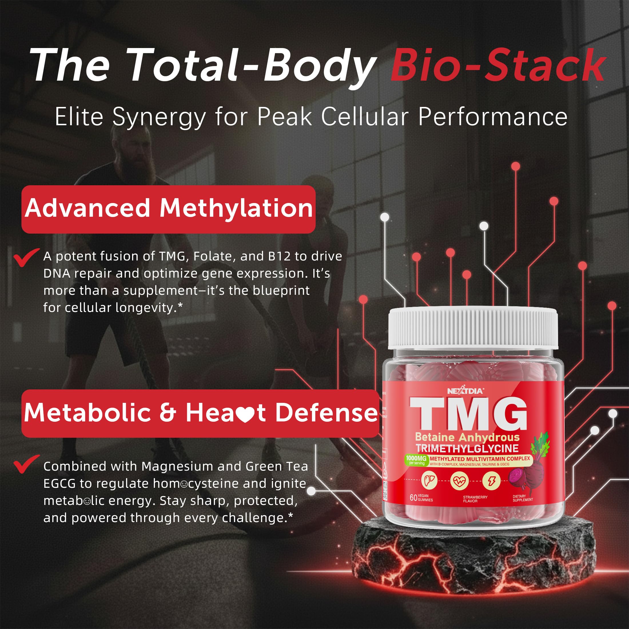 2Pack TMG Gummies 1000mg Betaine Anhydrous + Methylated Multivitamin & B Complex Methylated(Methylfolate B12 B6), Magnesium, Taurine - Essential Trimethylglycine for Homocysteine Levels, Brain, Energy Nextdia uk supplements
