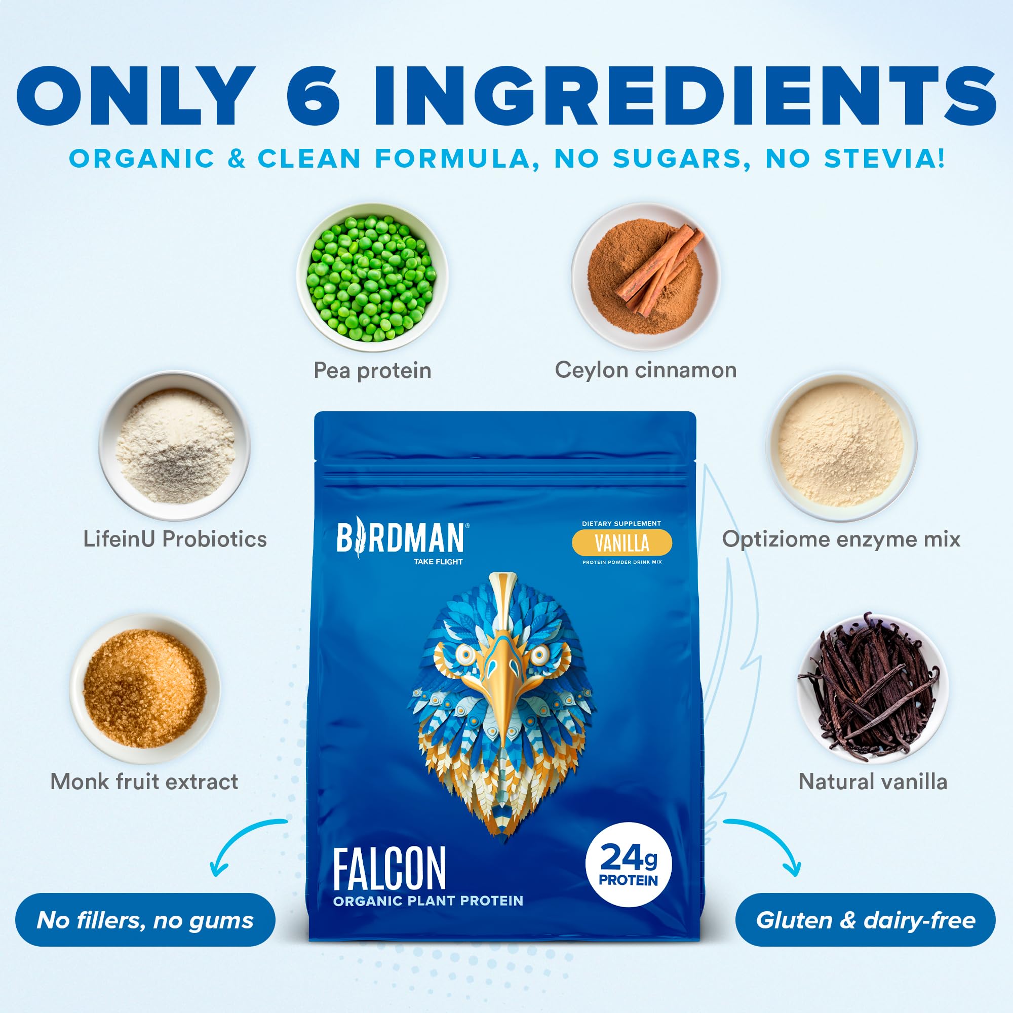 BIRDMAN Falcon Vegan Protein Powder Organic, Stevia & Sugar Free, Plant Based Protein BIRDMAN uk supplements