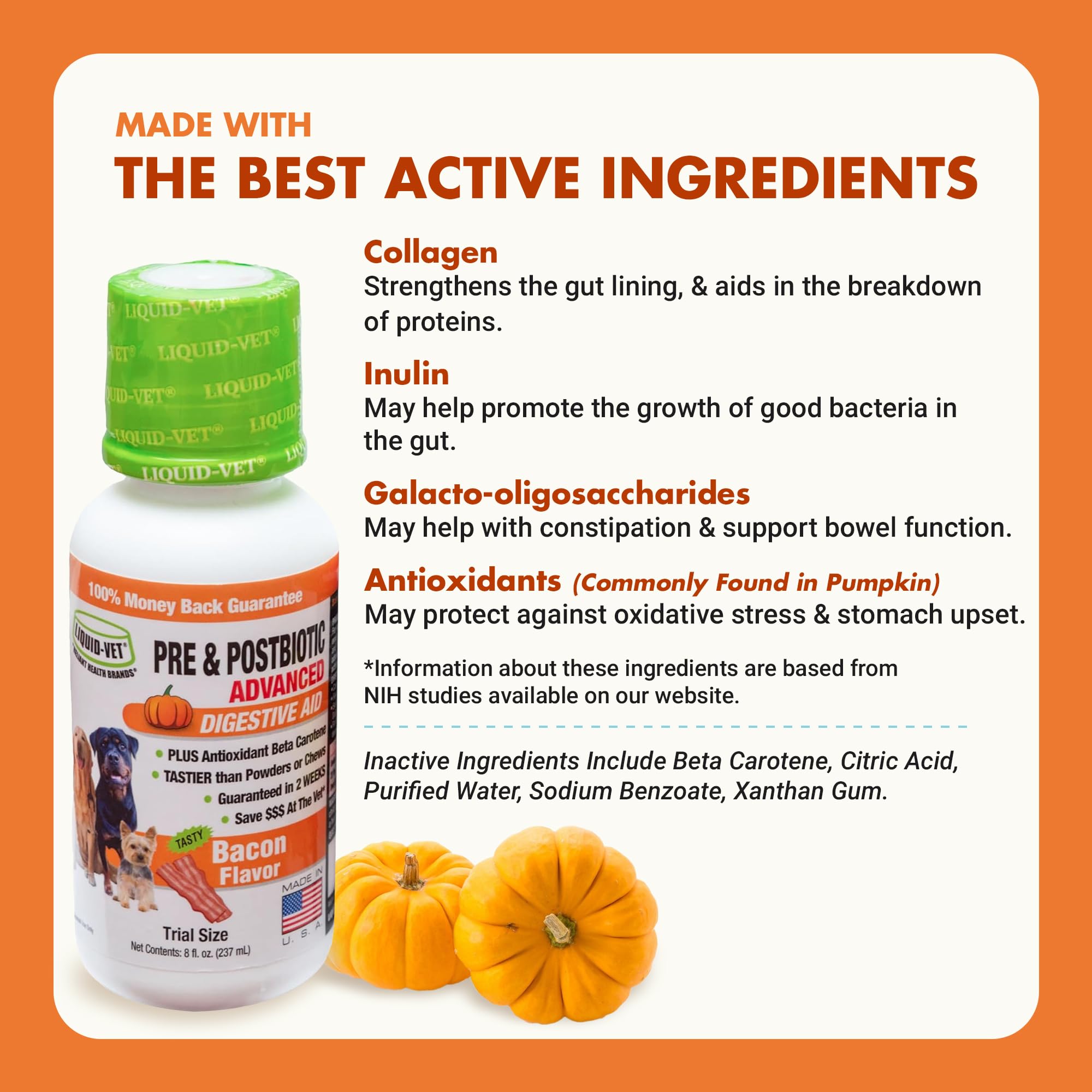 Pre & PostBiotic Support for Dogs – Digestive Upset, Stool Quality & Sensitive Stomach Support – Easy Liquid Formula for Picky Eaters LIQUID-VET uk supplements