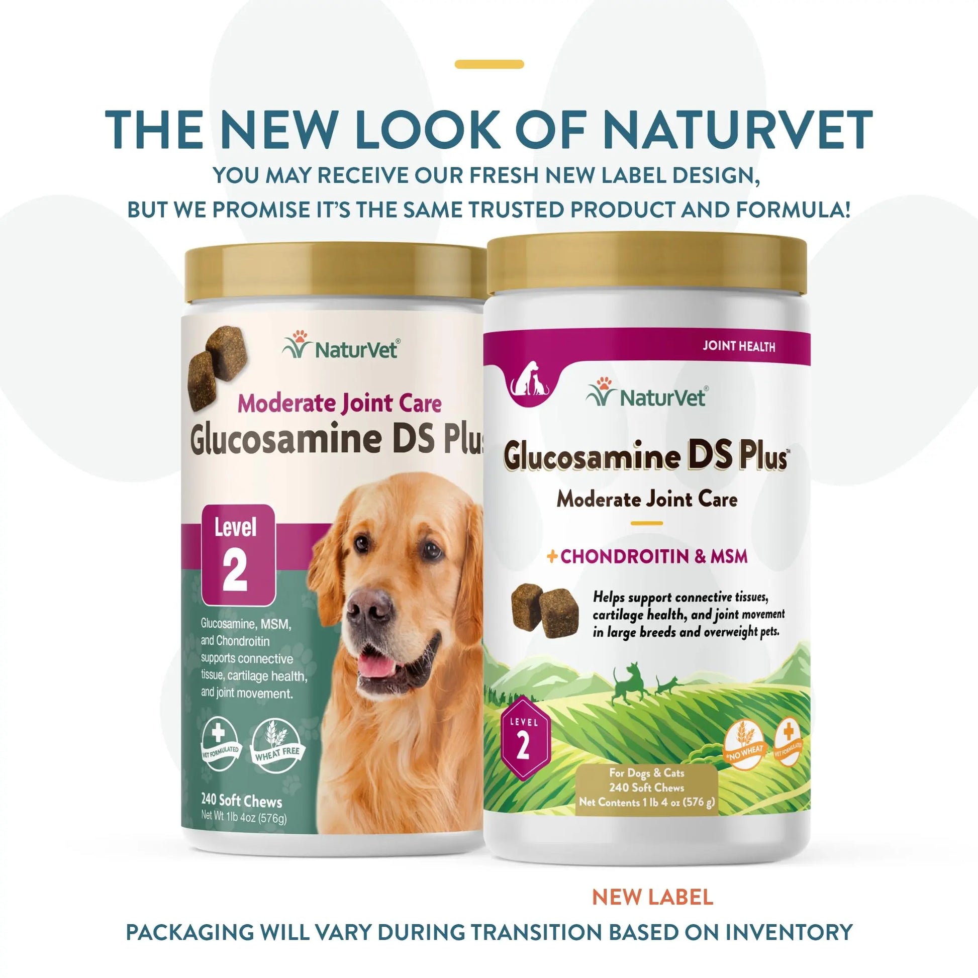 NaturVet – Glucosamine DS Plus - Level 2 Moderate Care – Supports Healthy Hip & Joint Function – Enhanced with Glucosamine, MSM & Chondroitin – for Dogs & Cats – 240 Soft Chews NaturVet uk supplements