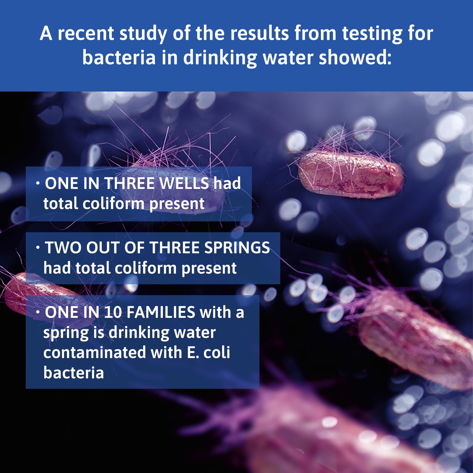 Exploro® Bacteria Water Test Kit, Pond Water Test Kit, Pool Water Testing Kit, Water Testing Kits for Drinking Water for Coliform (E. coli), EPA Approved Pool Test Kit (1 Pack) Exploro uk supplements