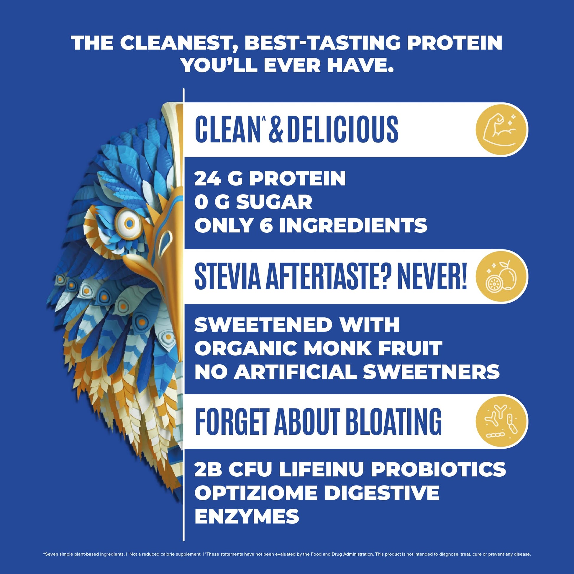 BIRDMAN Falcon Vegan Protein Powder Organic, Stevia & Sugar Free, Plant Based Protein BIRDMAN uk supplements